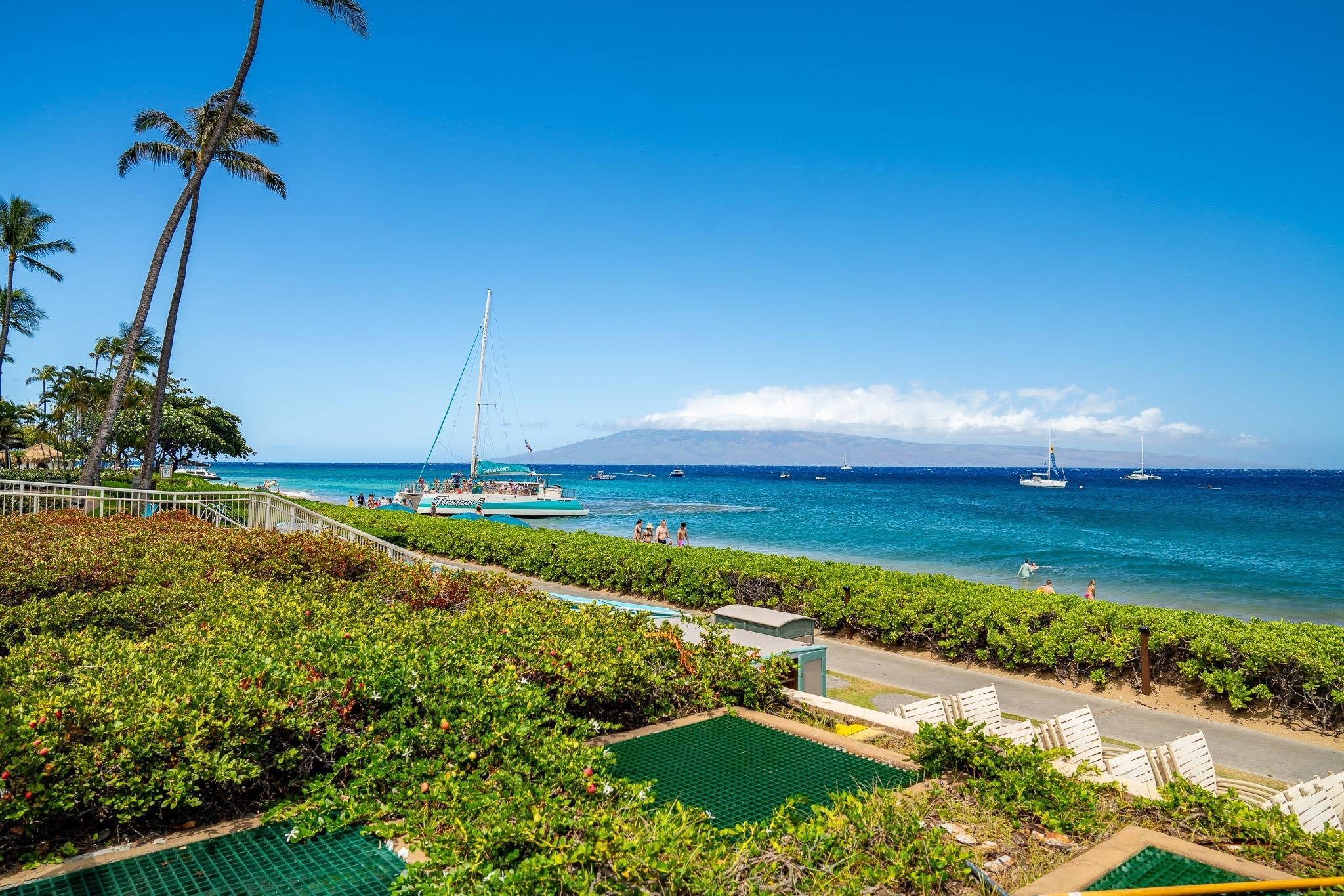 2481 Kaanapali Pkwy Property Photo 35