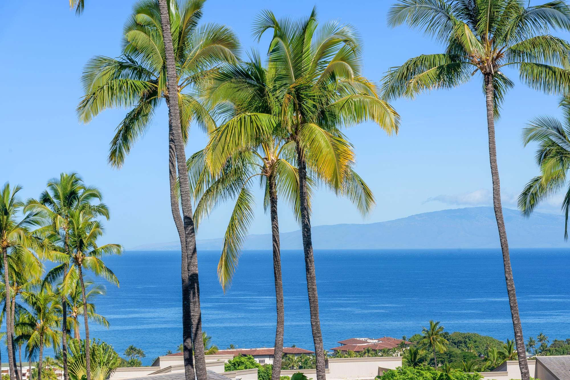 10 Wailea Ekolu Pl Property Photo 2