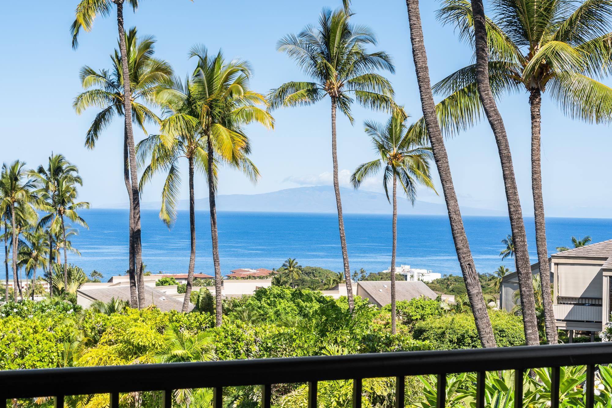 10 Wailea Ekolu Pl Property Photo 3