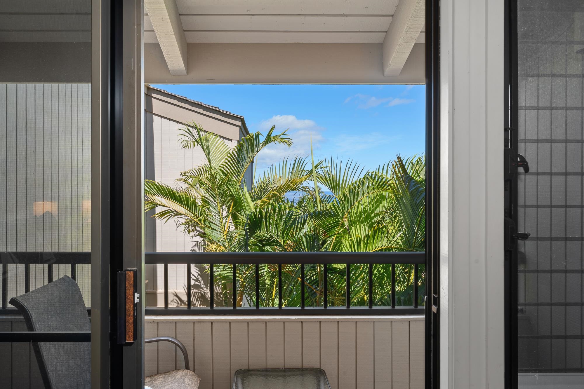 10 Wailea Ekolu Pl Property Photo 30
