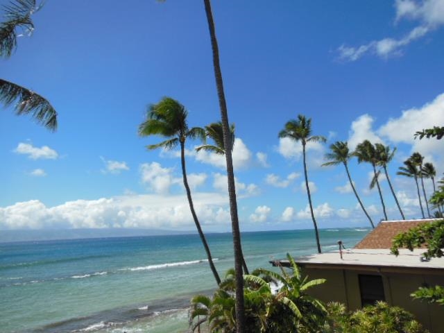 3543 Lower Honoapiilani Rd Property Photo 15
