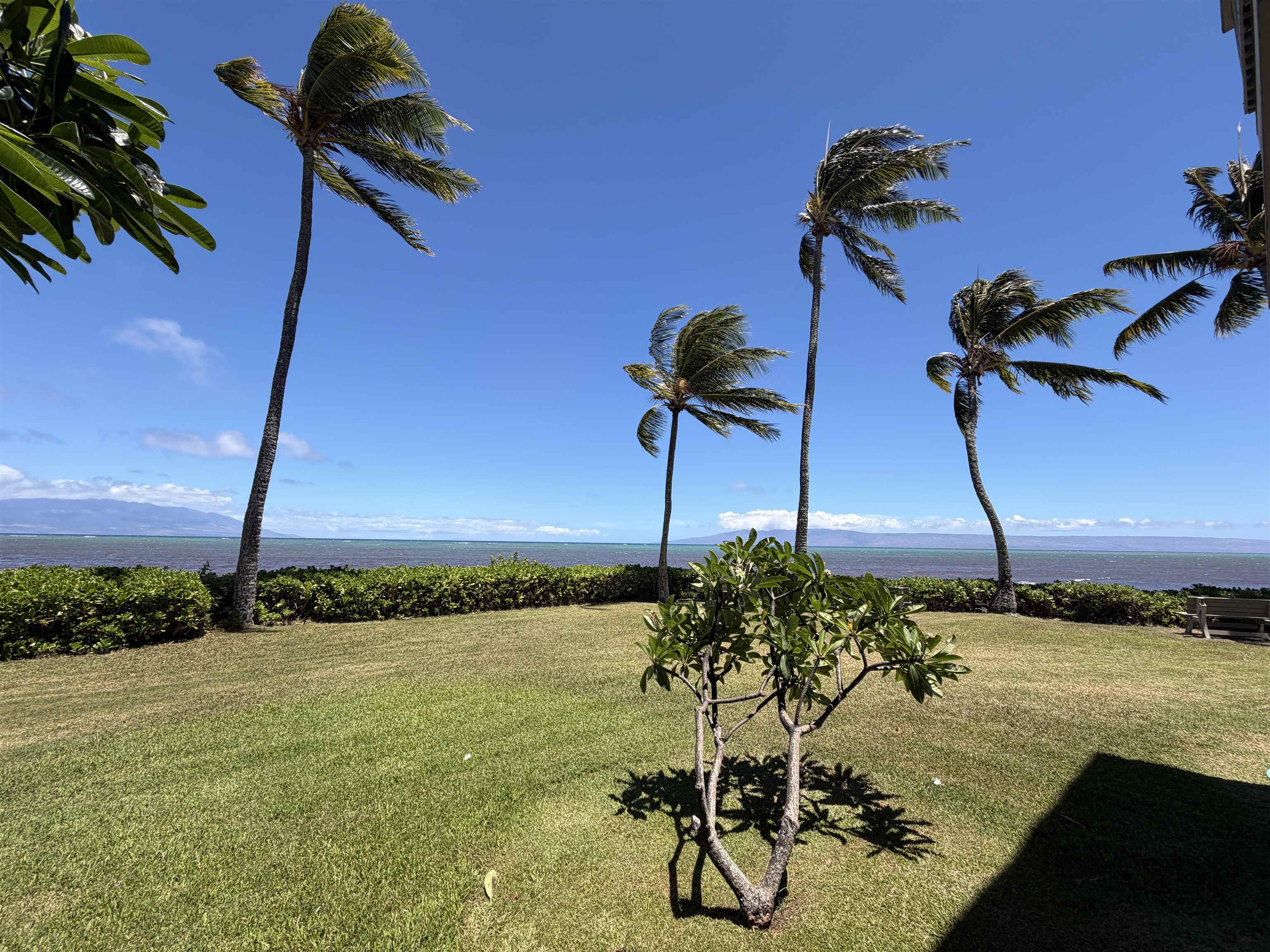 7142 Kamehameha V Hwy Property Photo 4