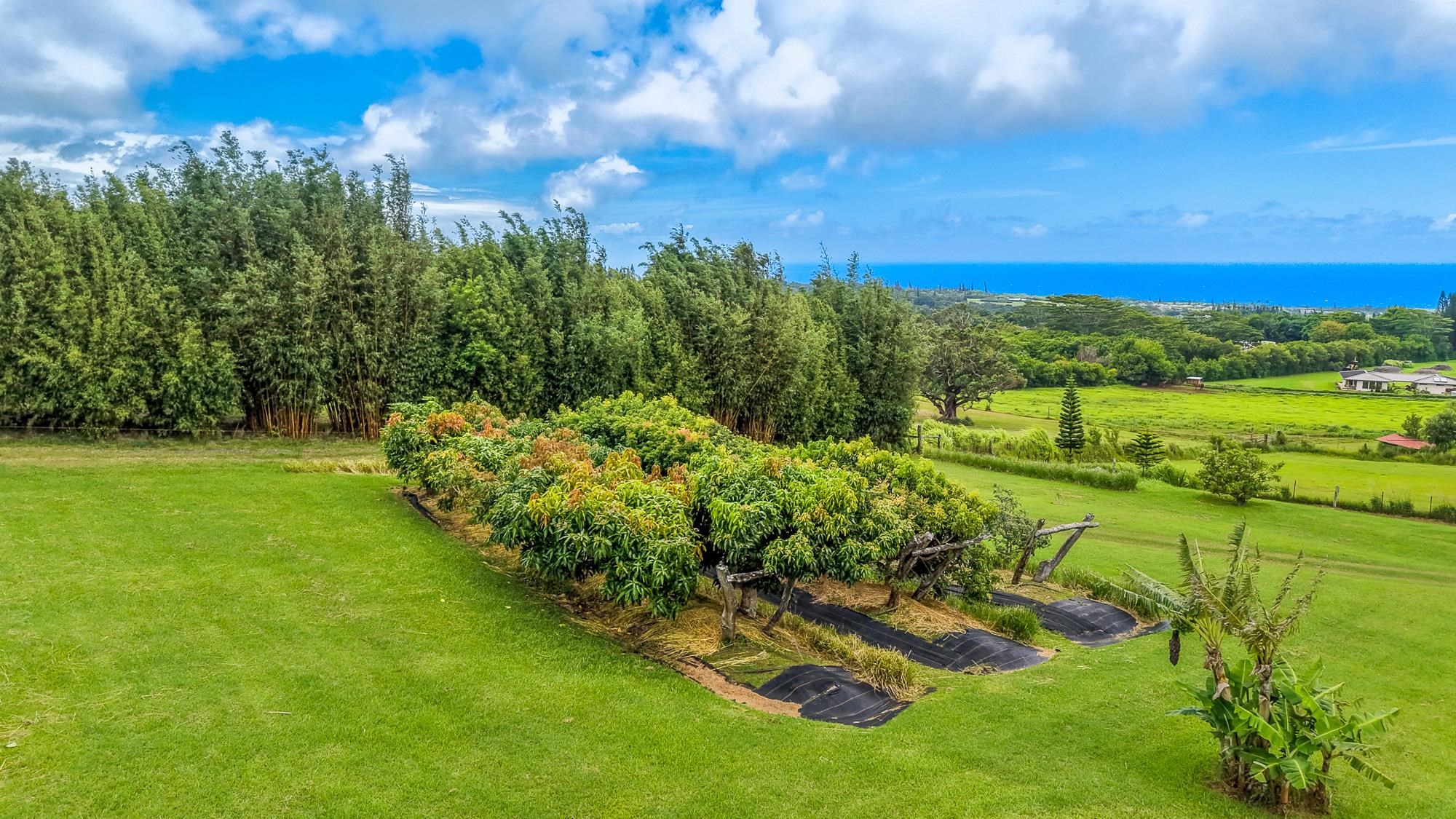 820 W Kuiaha Rd Property Photo 35