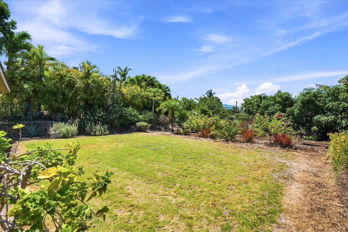 8 Moana Ave Property Photo 29