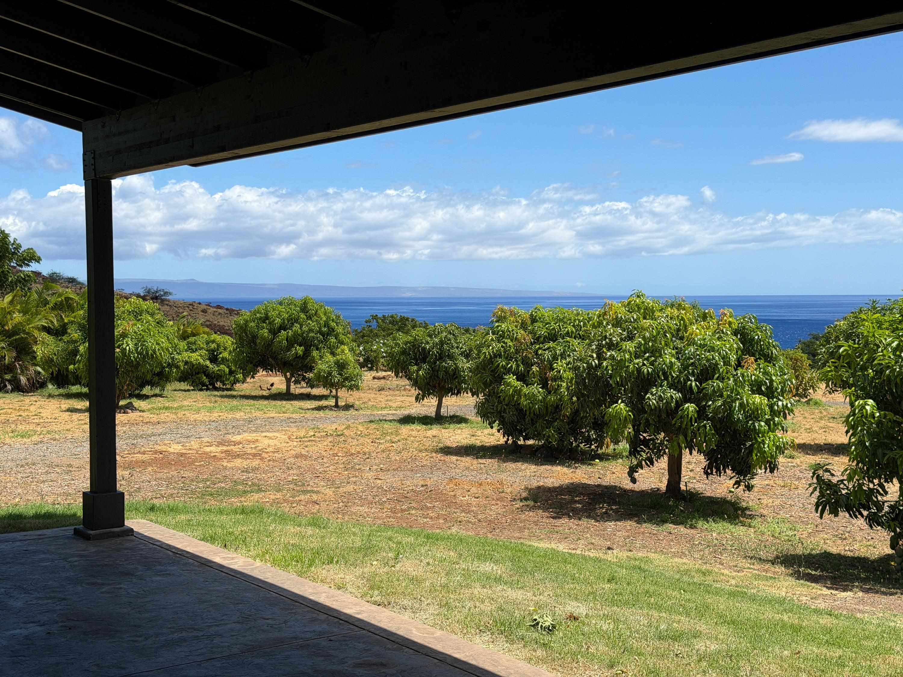 Haniu Pl Property Photo 20