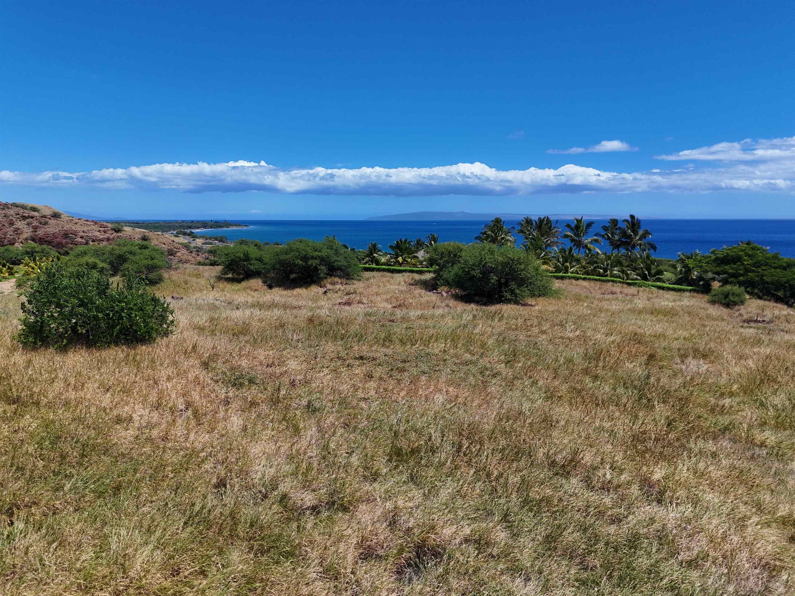 Haniu Pl Property Photo 28