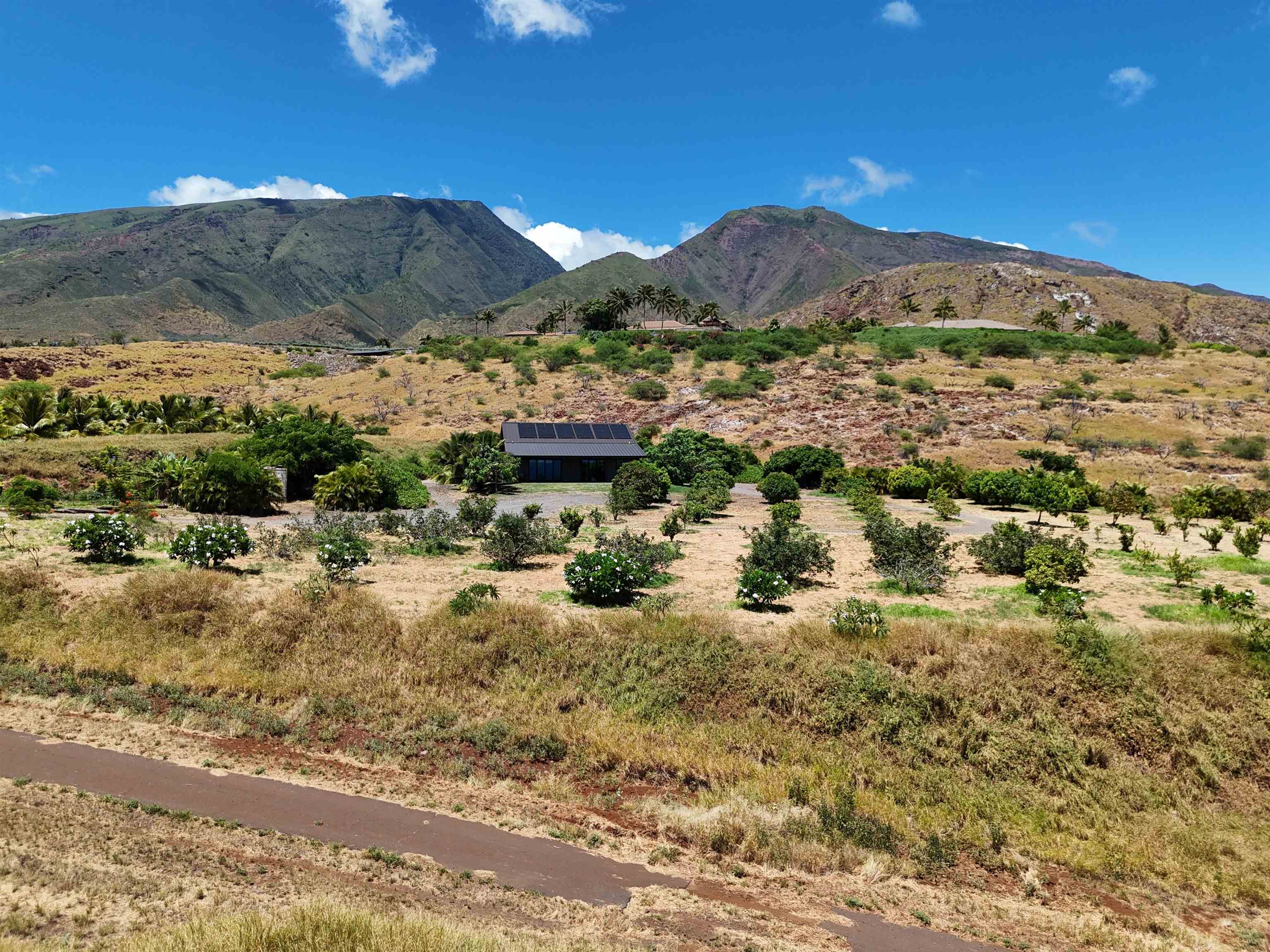 Haniu Pl Property Photo 36