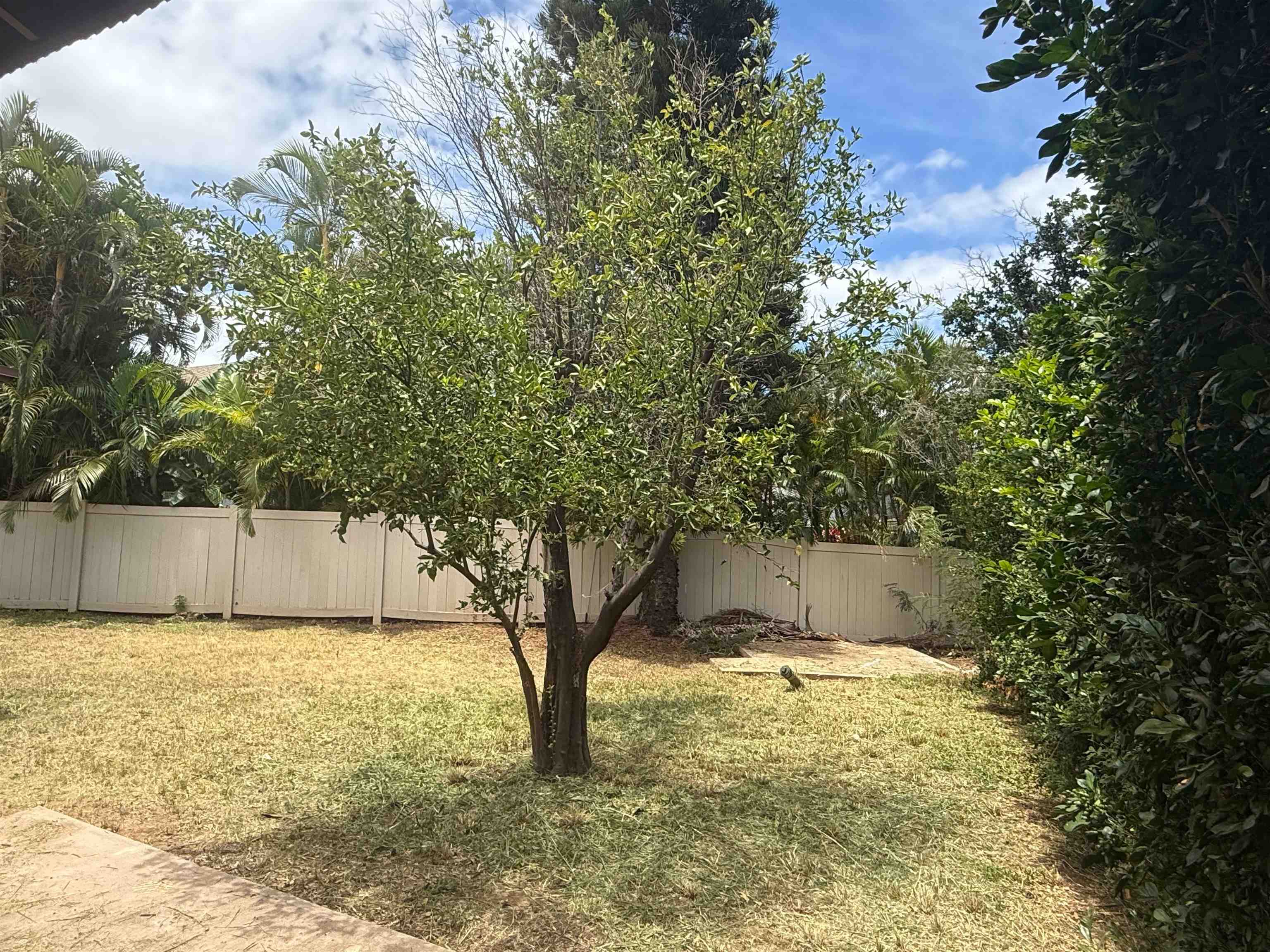 390 Auhana Rd Property Photo 9