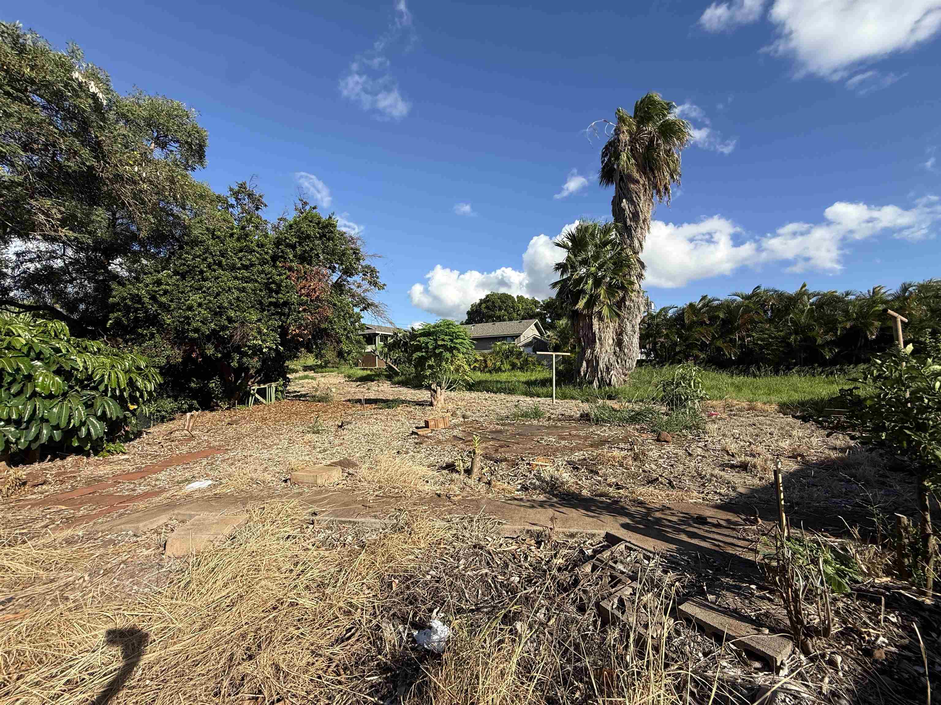 3826 Lower Honoapiilani Rd Property Photo 3