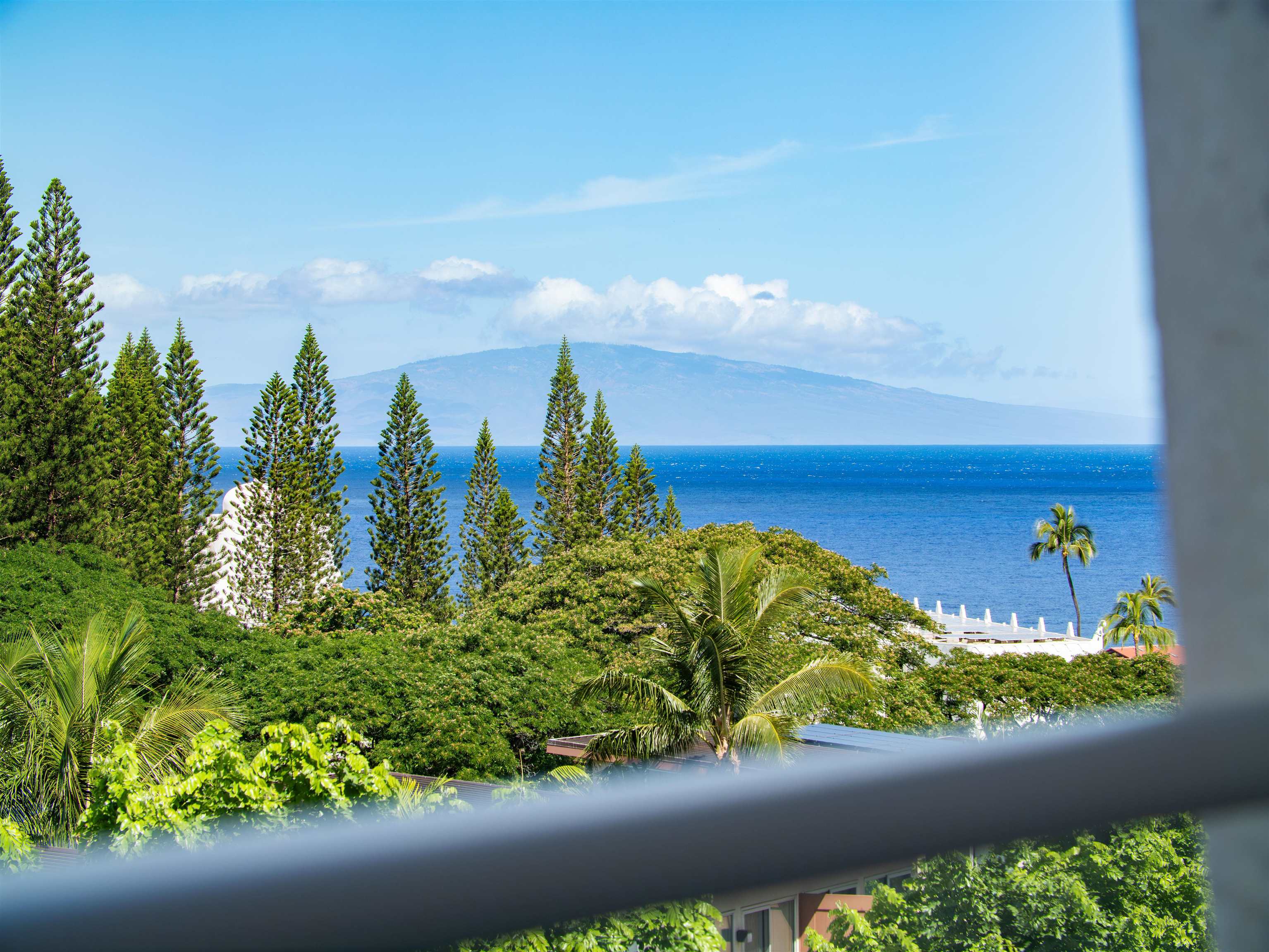 208 Holomoana Way Property Photo 11