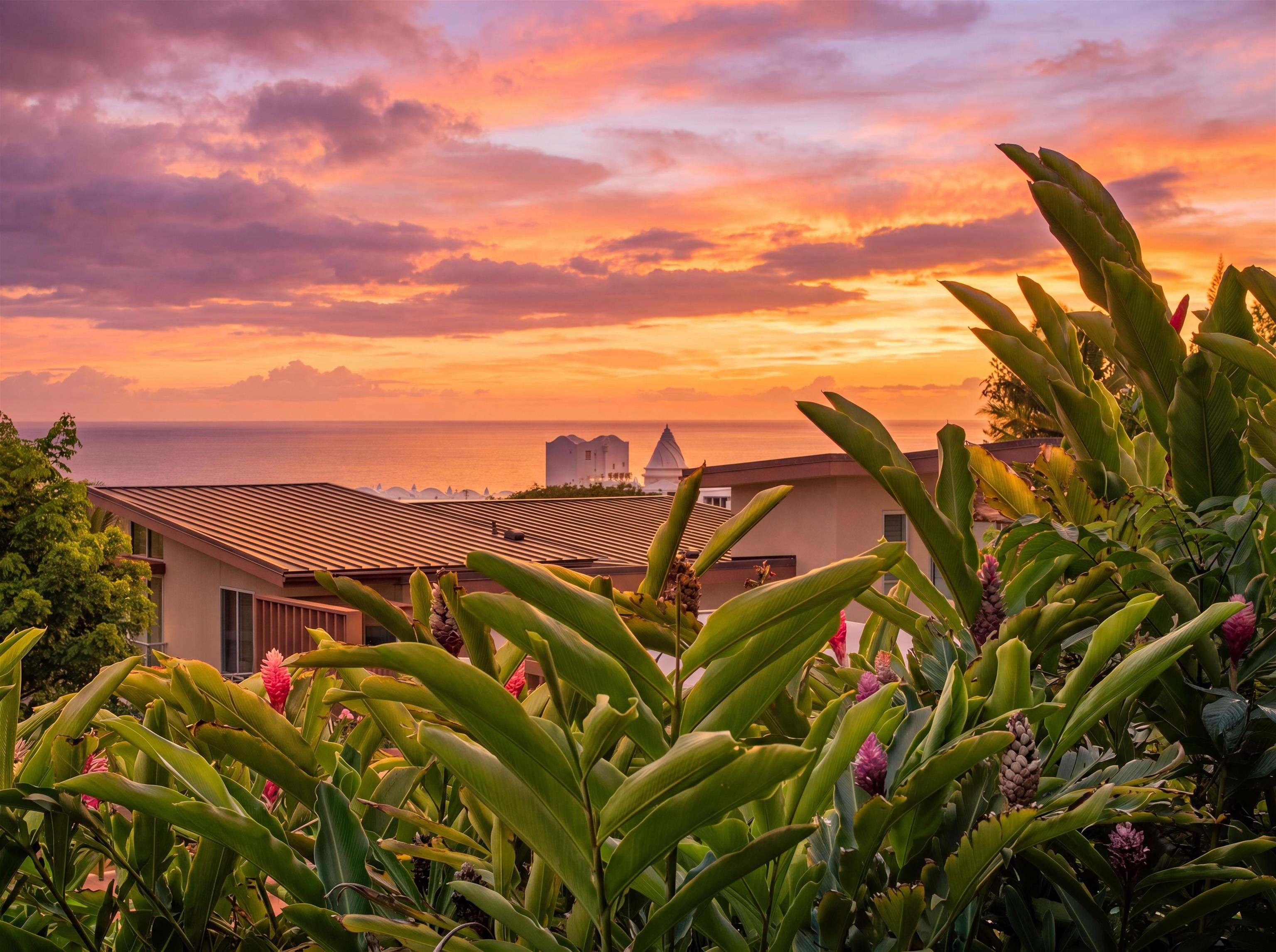 208 Holomoana Way Property Photo 37