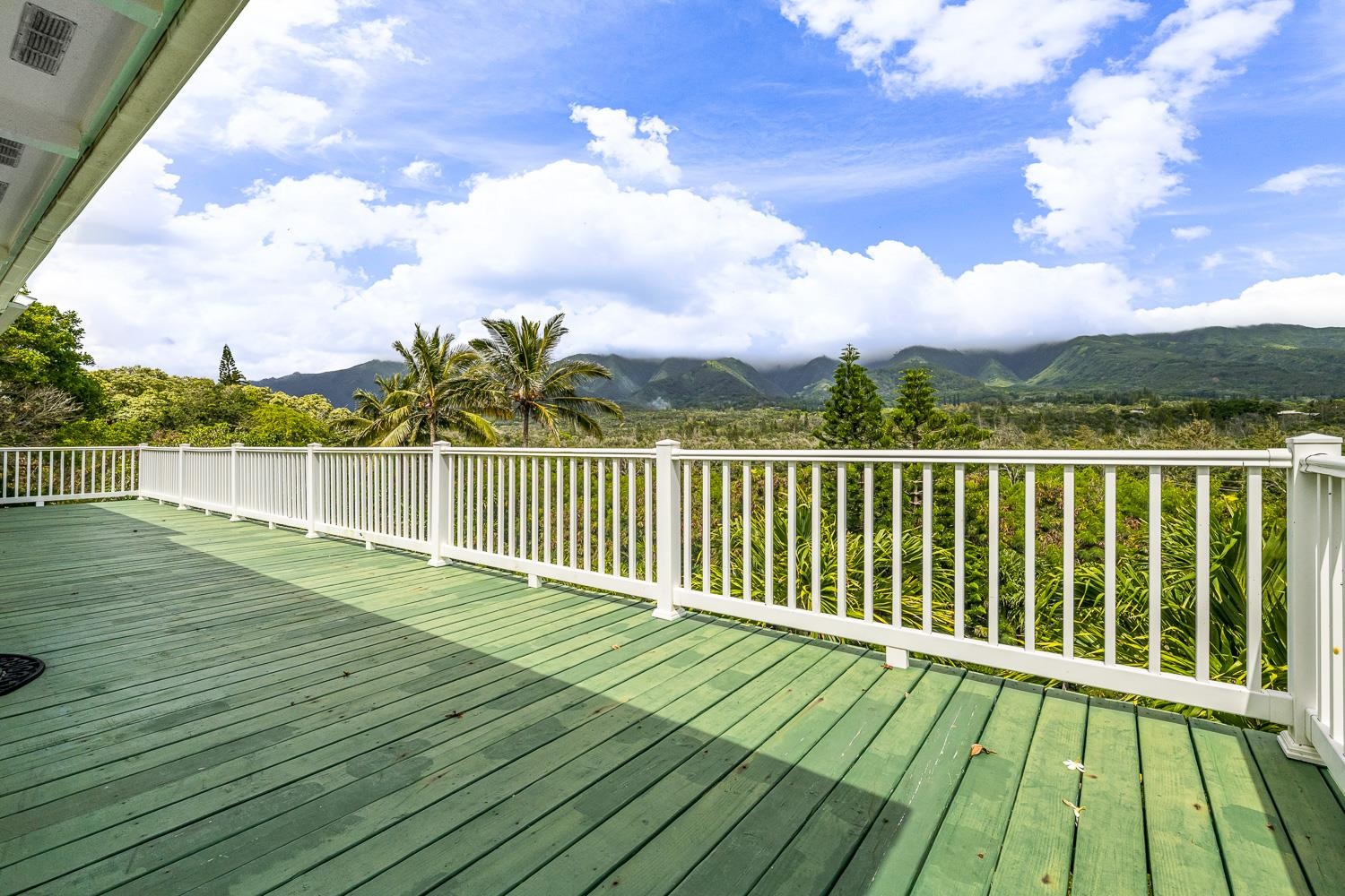 978 Lekeona Loop Property Photo 30