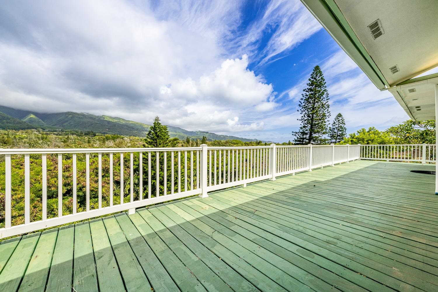 978 Lekeona Loop Property Photo 33