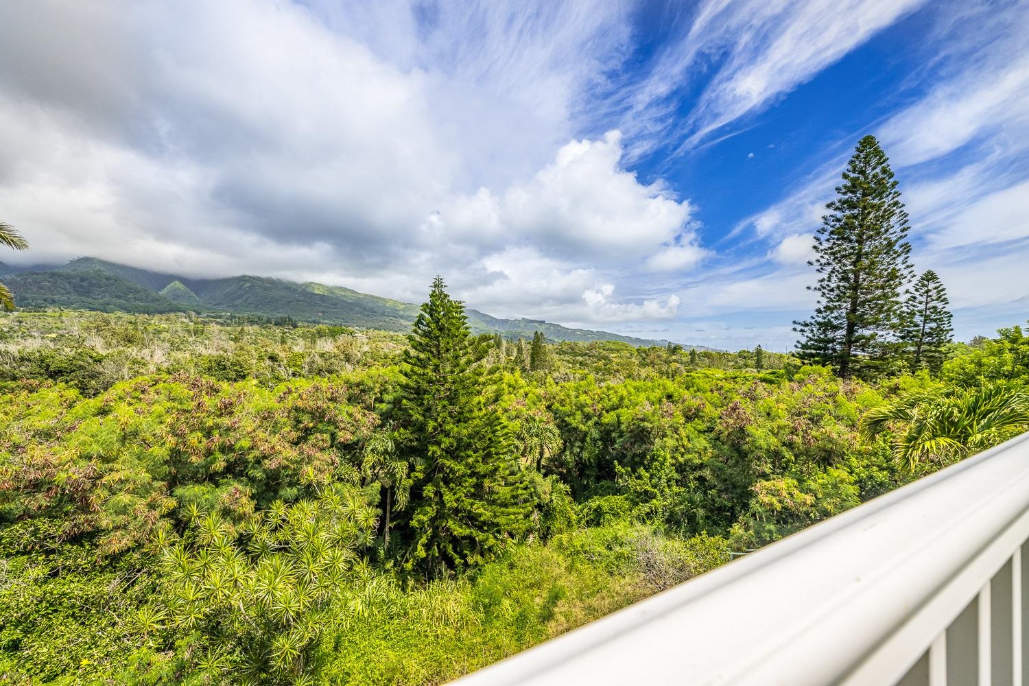 978 Lekeona Loop Property Photo 34