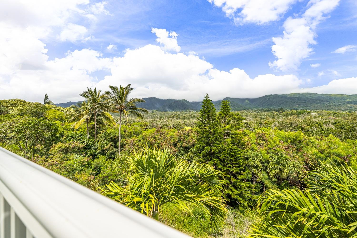 978 Lekeona Loop Property Photo 35