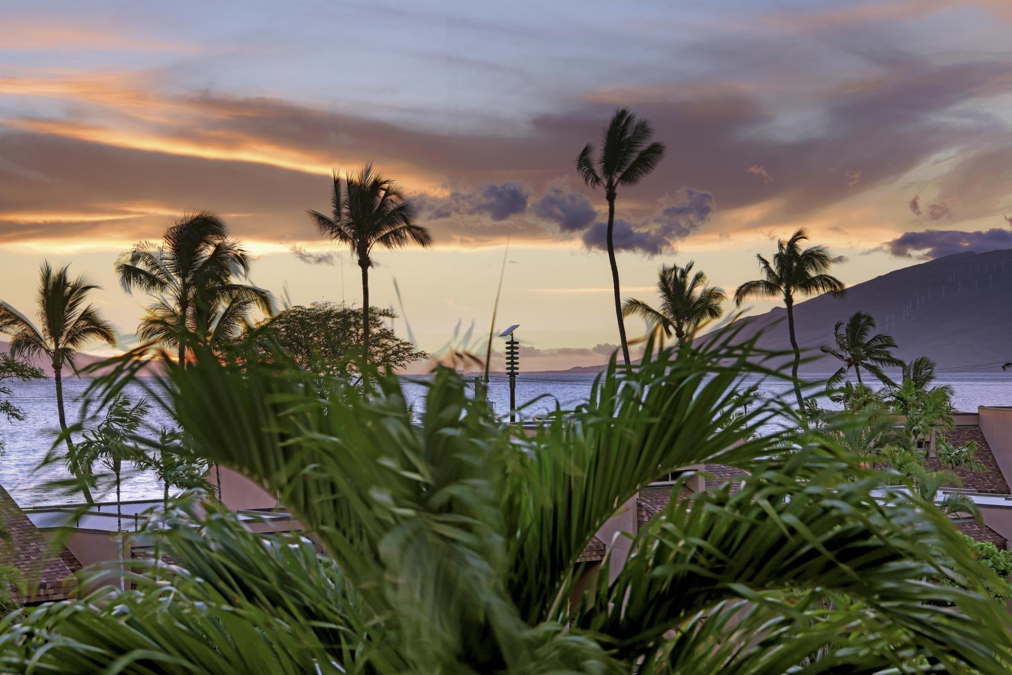 2385 S Kihei Rd Property Photo 28