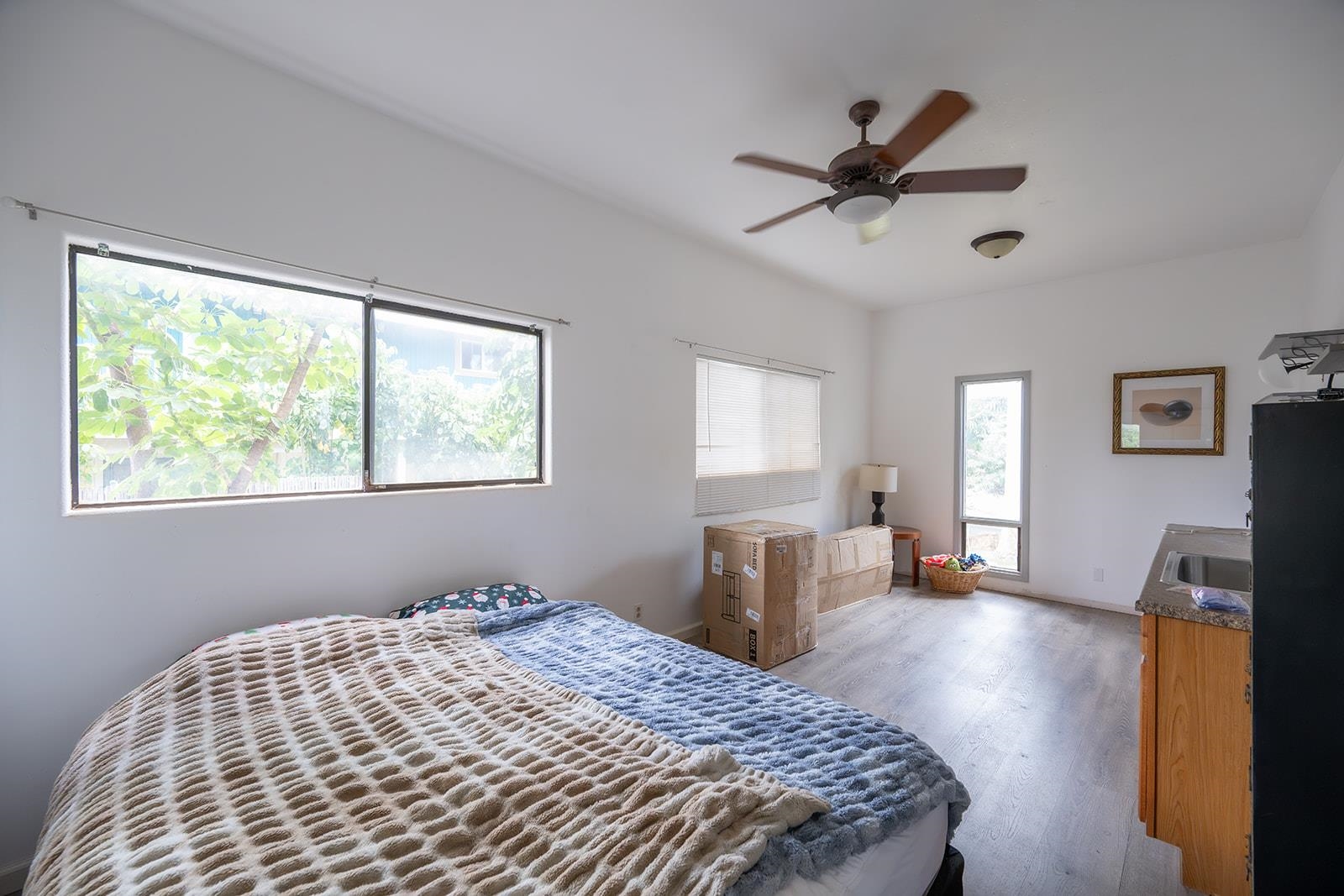 3863 Mahinahina St Property Photo 23