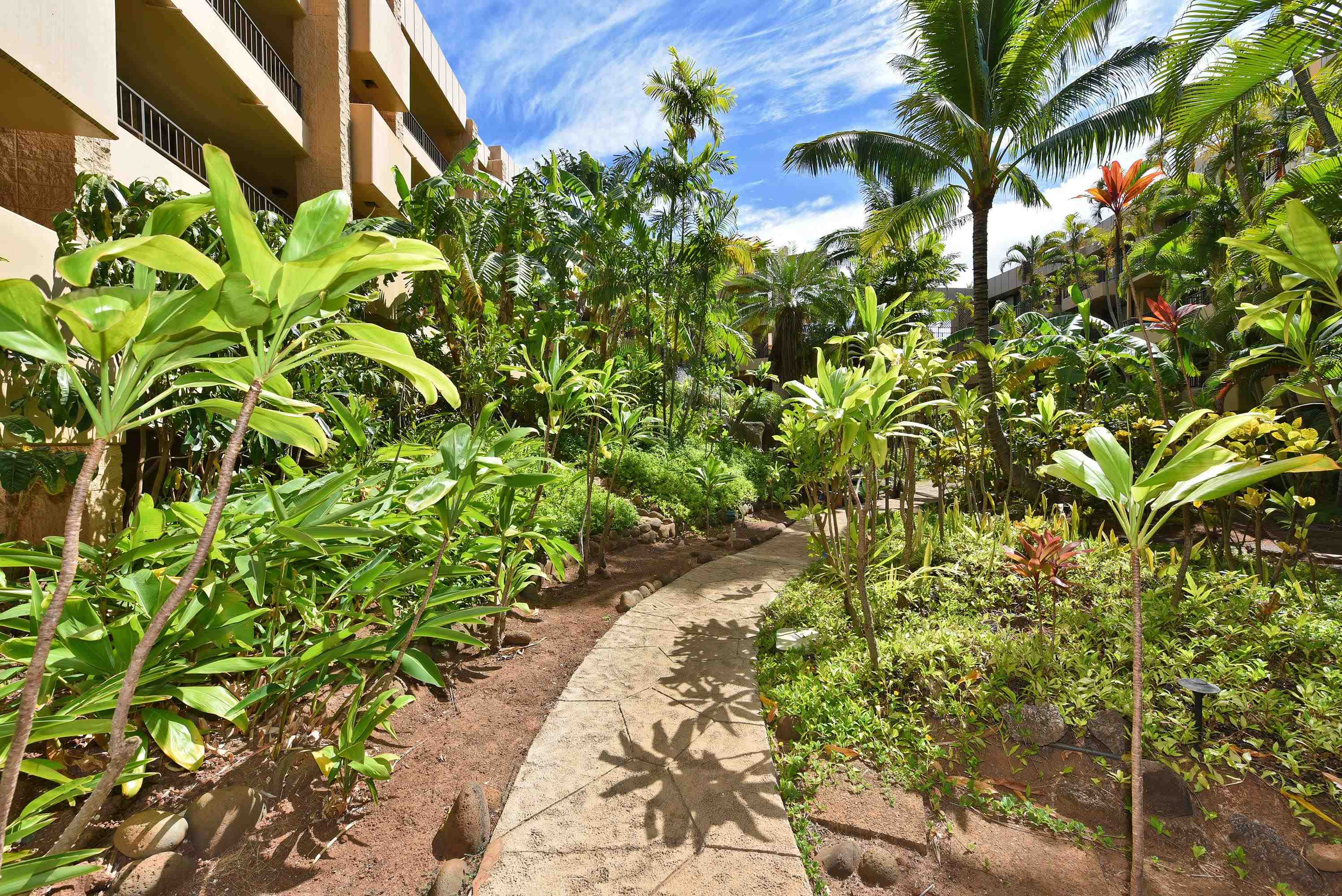 3601 Lower Honoapiilani Rd Property Photo 34