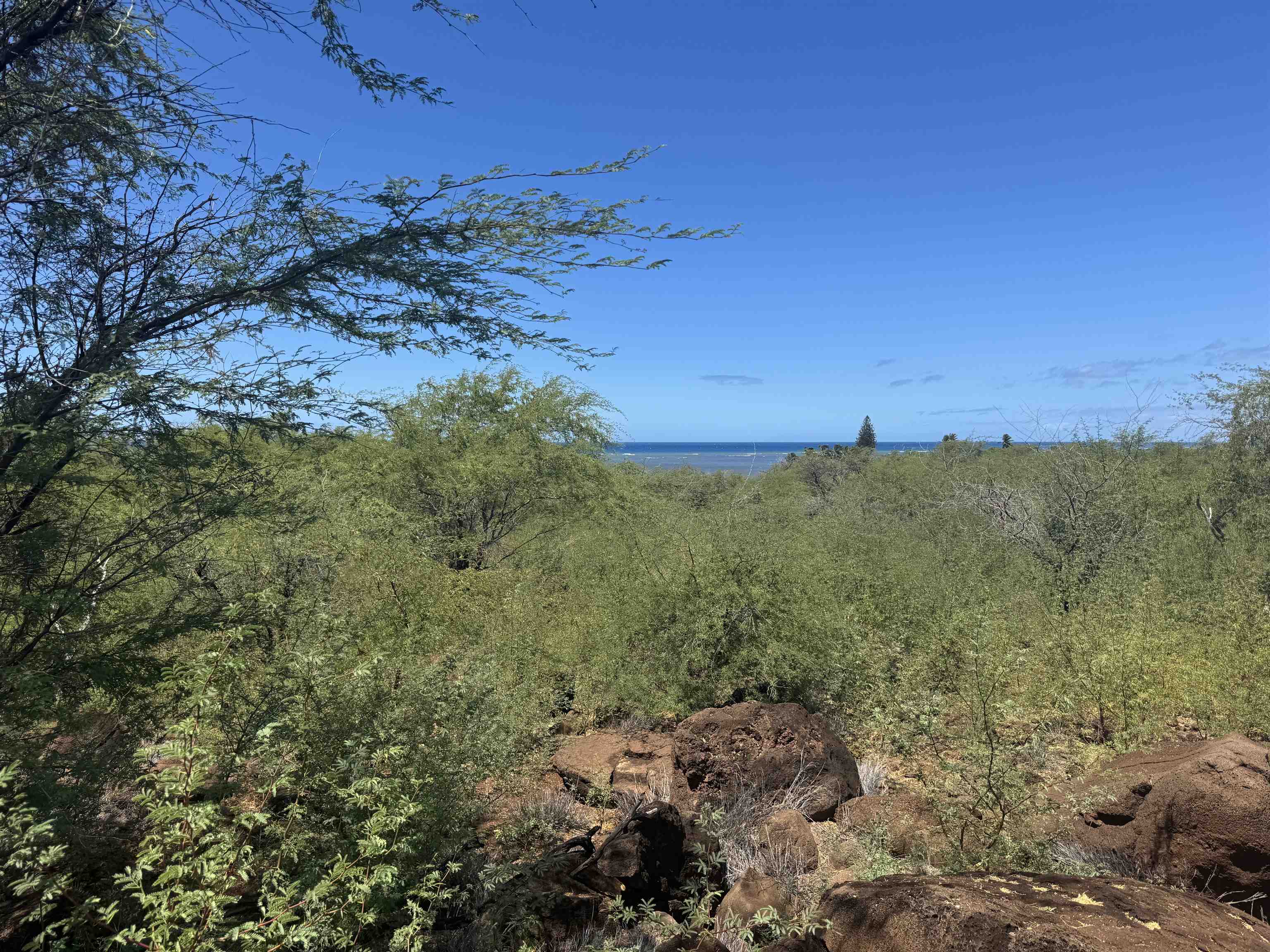 1715 Kamehameha V Hwy Property Photo 5
