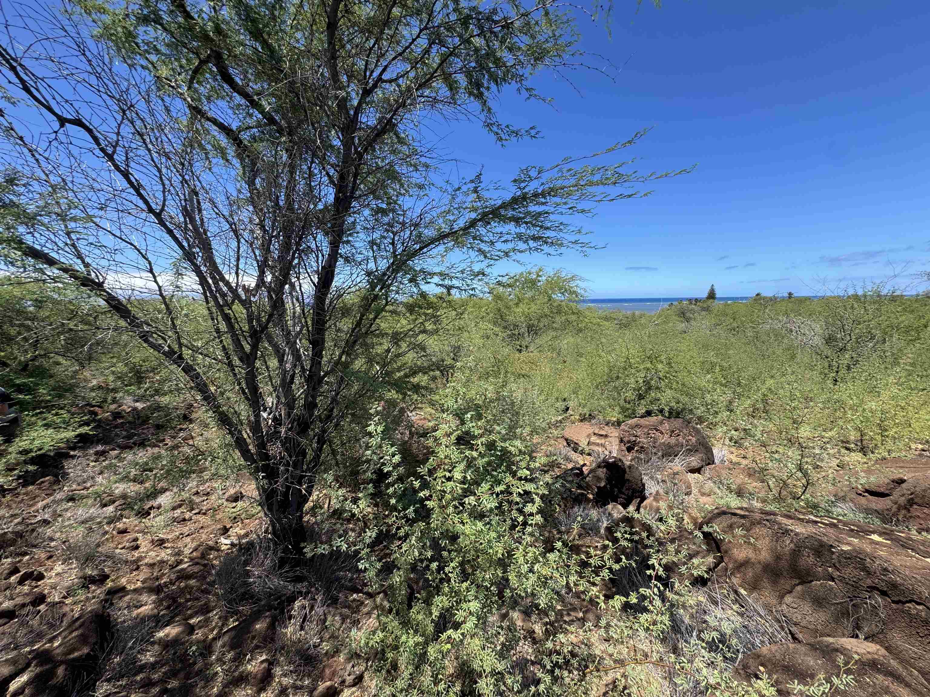 1715 Kamehameha V Hwy Property Photo 6