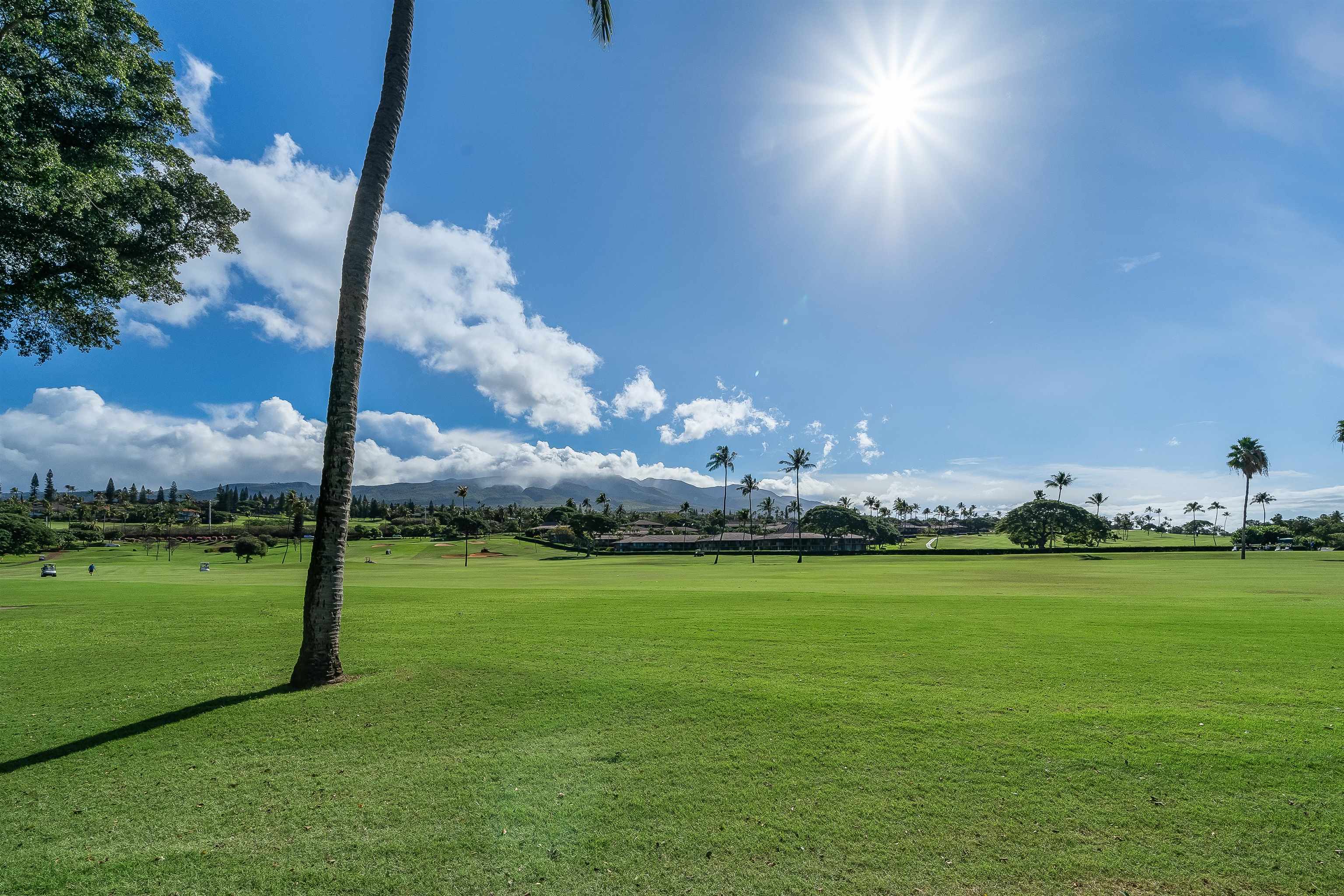 2661 Kekaa Dr Property Photo 46
