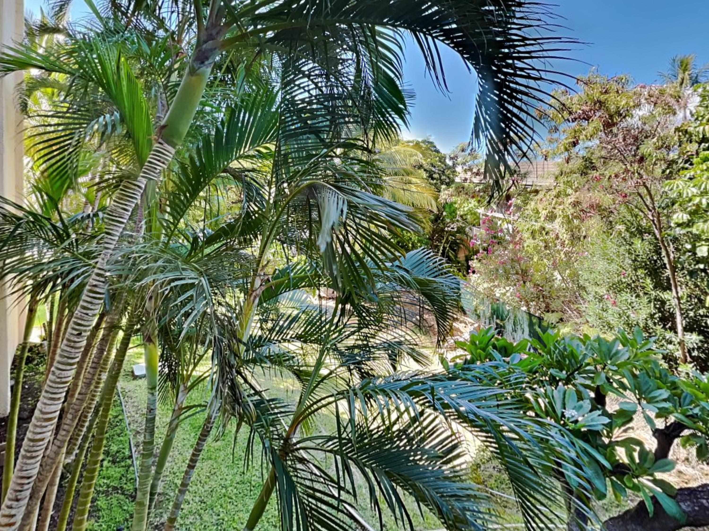 2531 S Kihei Rd Property Photo 22