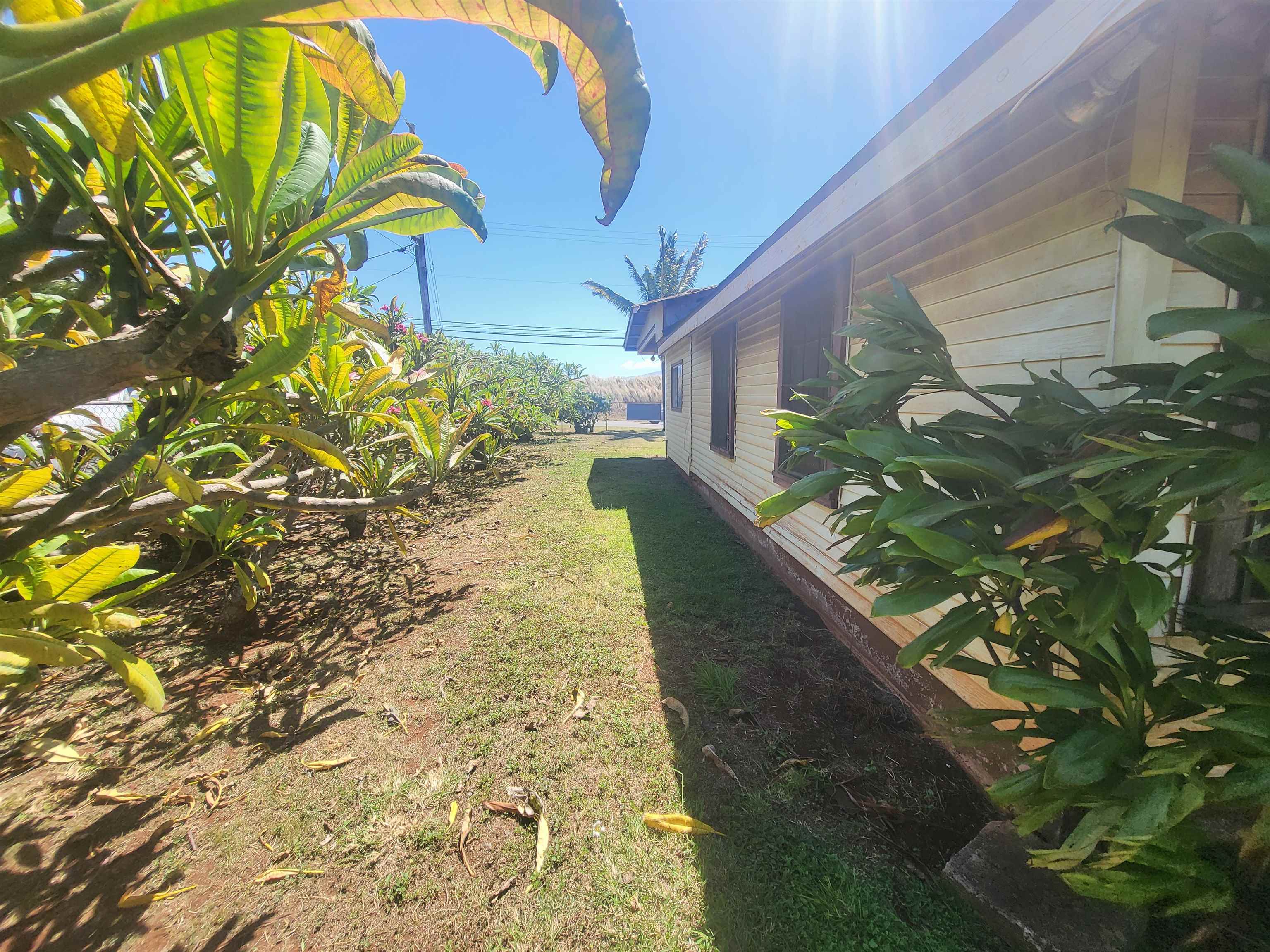 345 Baldwin Ave Property Photo 4