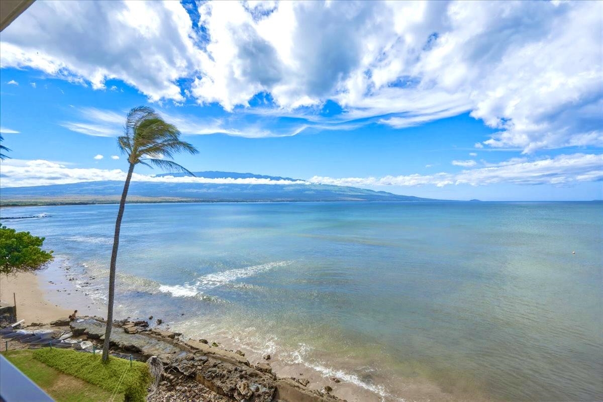 250 Hauoli St Property Photo 9