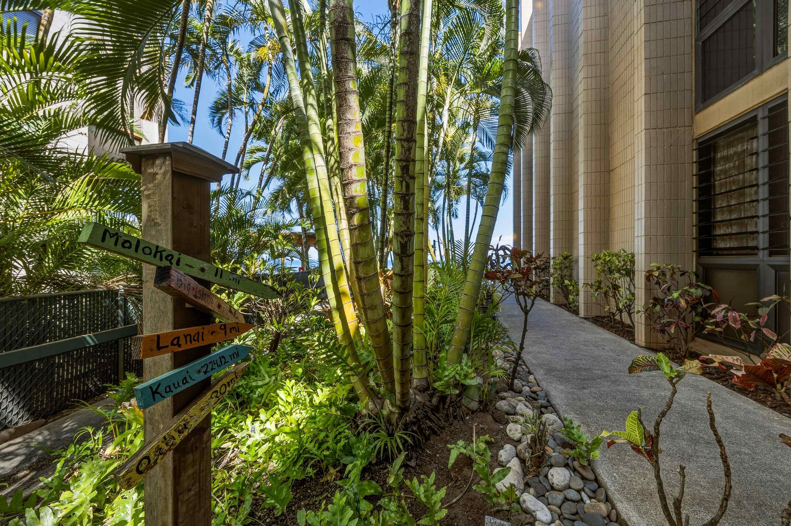 3785 Lower Honoapiilani Rd Property Photo 4