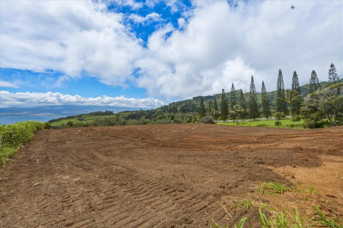 21 Lahaole Pl Property Photo 19