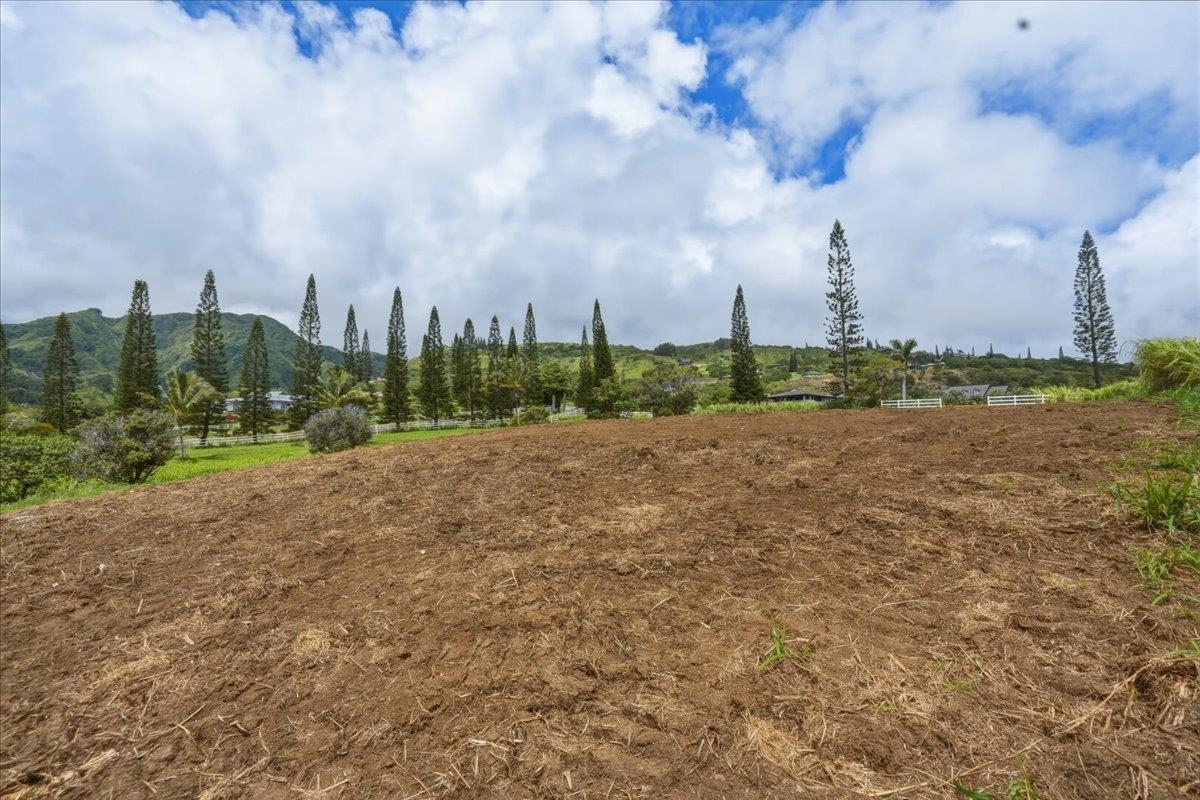21 Lahaole Pl Property Photo 20