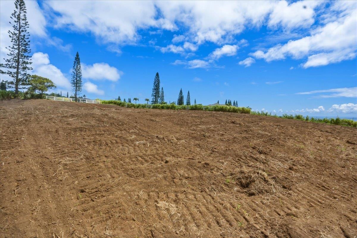 21 Lahaole Pl Property Photo 21
