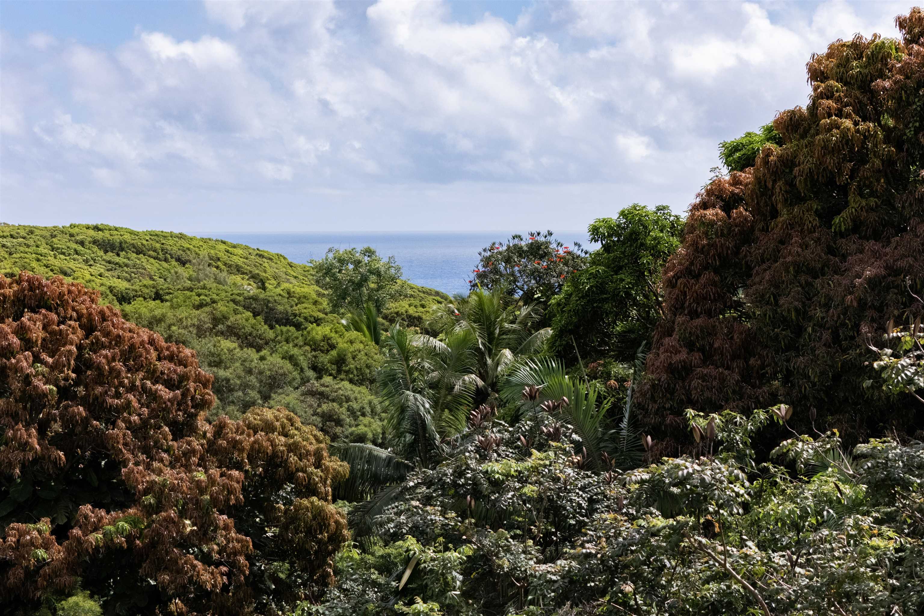 420 Haumana Rd Property Photo 16