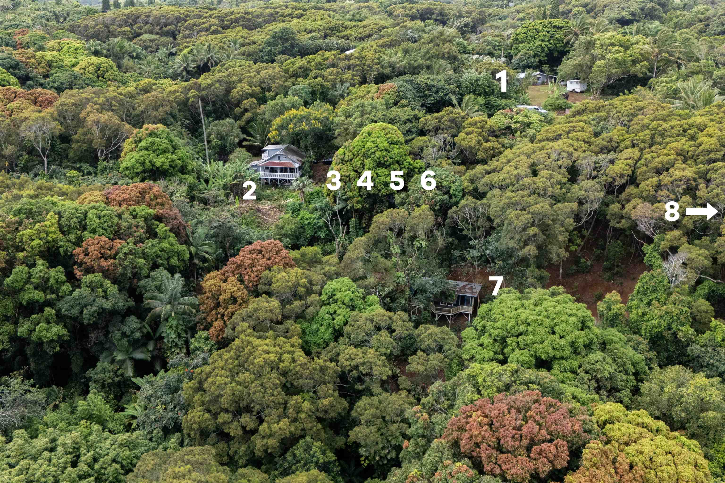420 Haumana Rd Property Photo 19