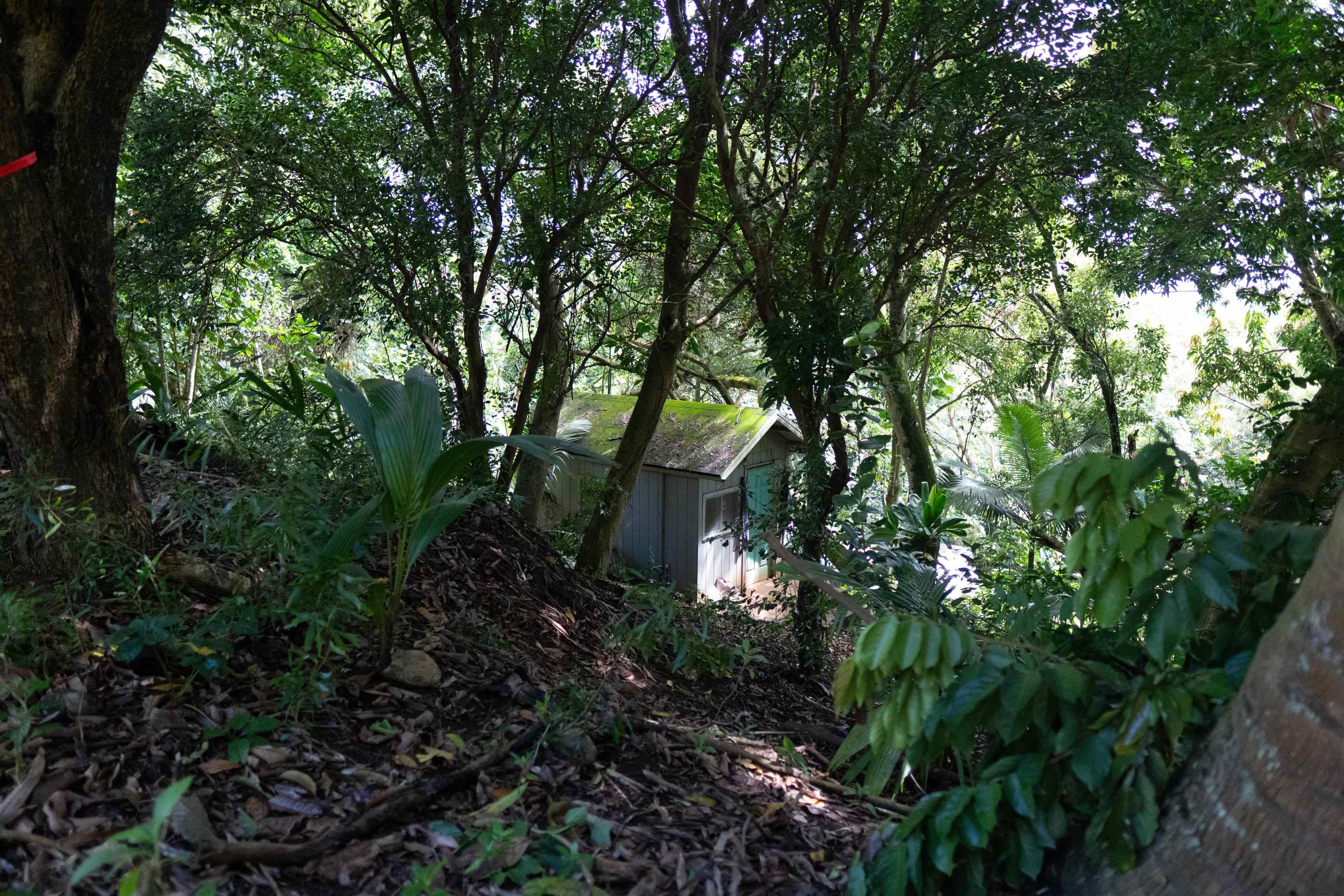 420 Haumana Rd Property Photo 29