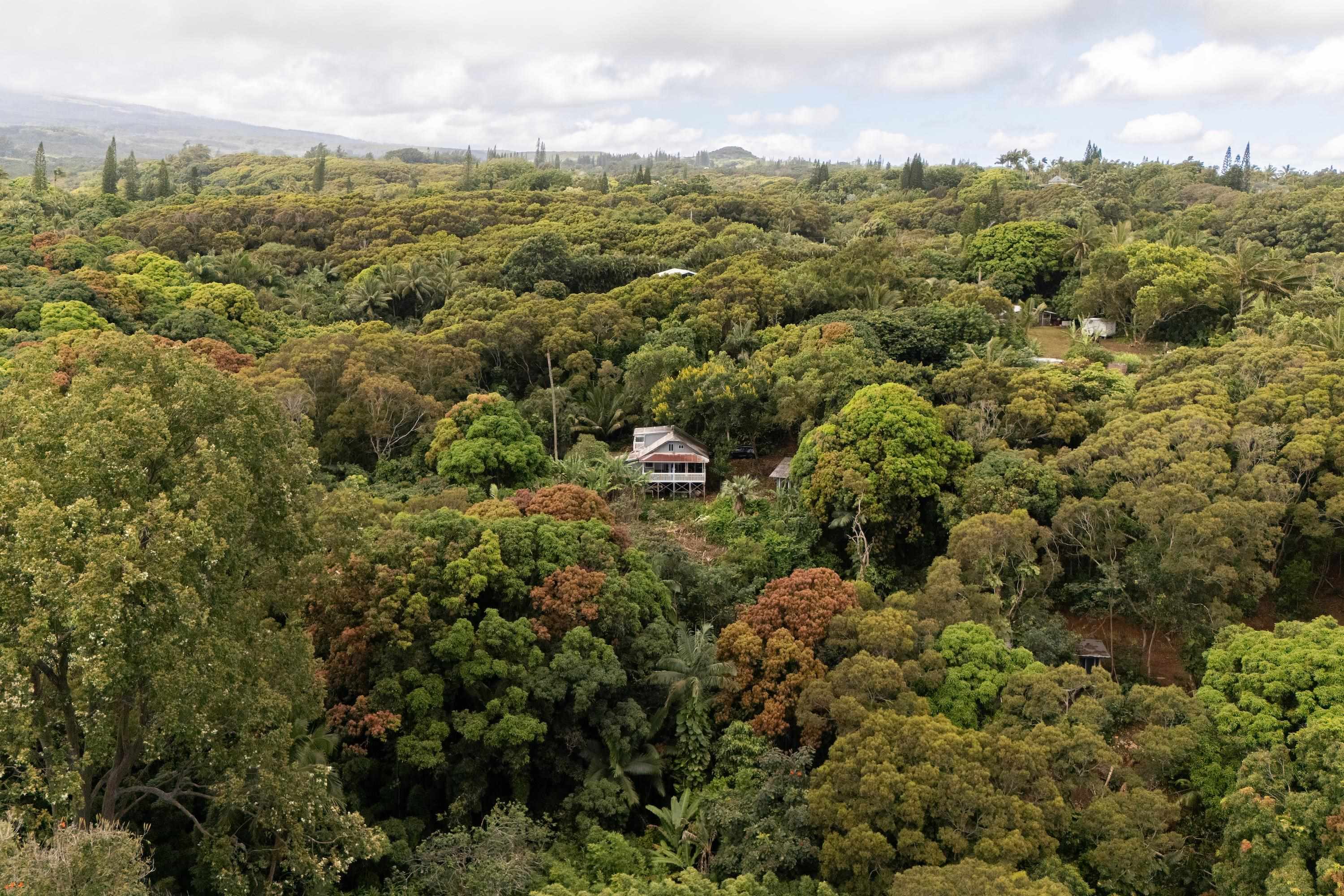 420 Haumana Rd Property Photo 33