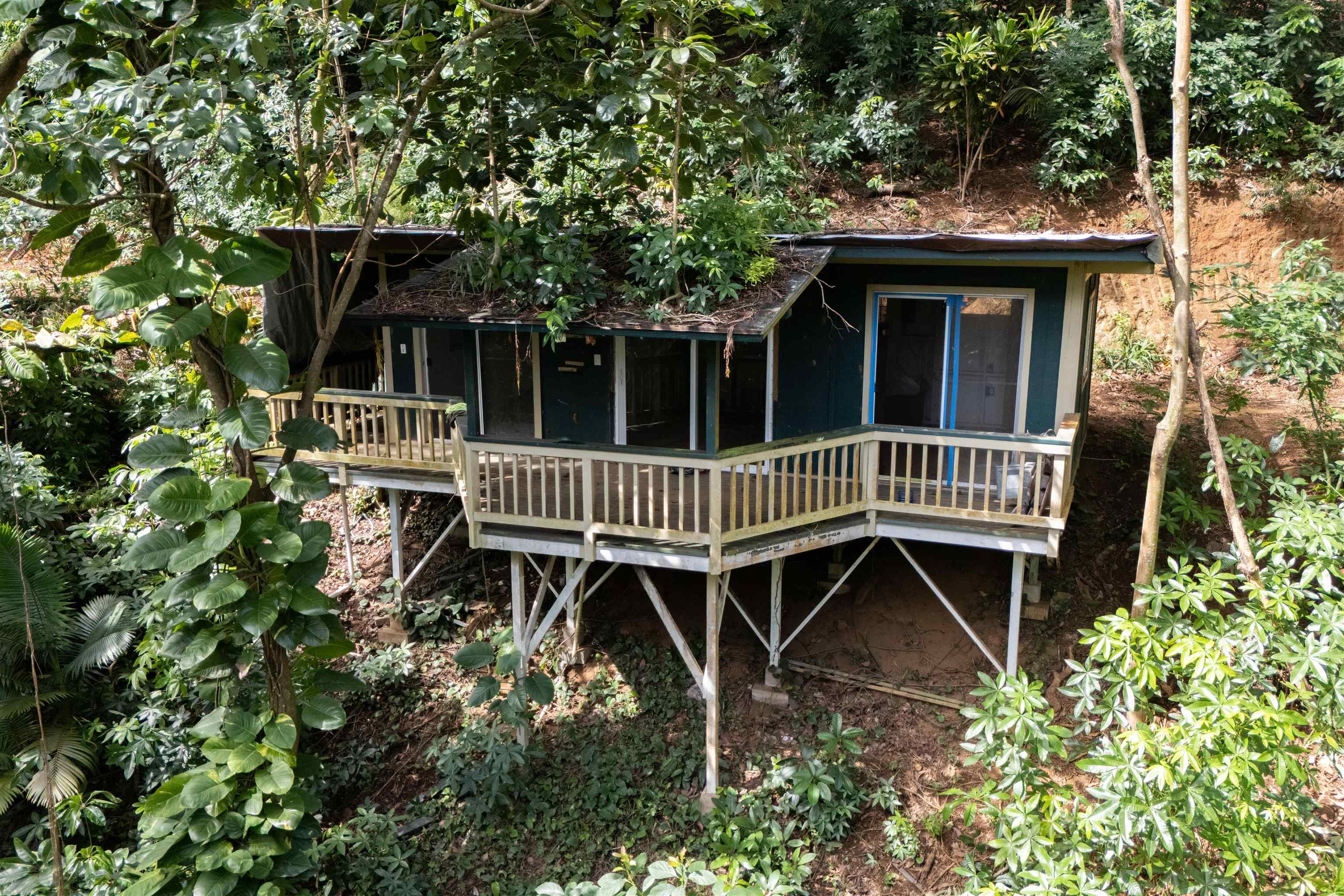 420 Haumana Rd Property Photo 45