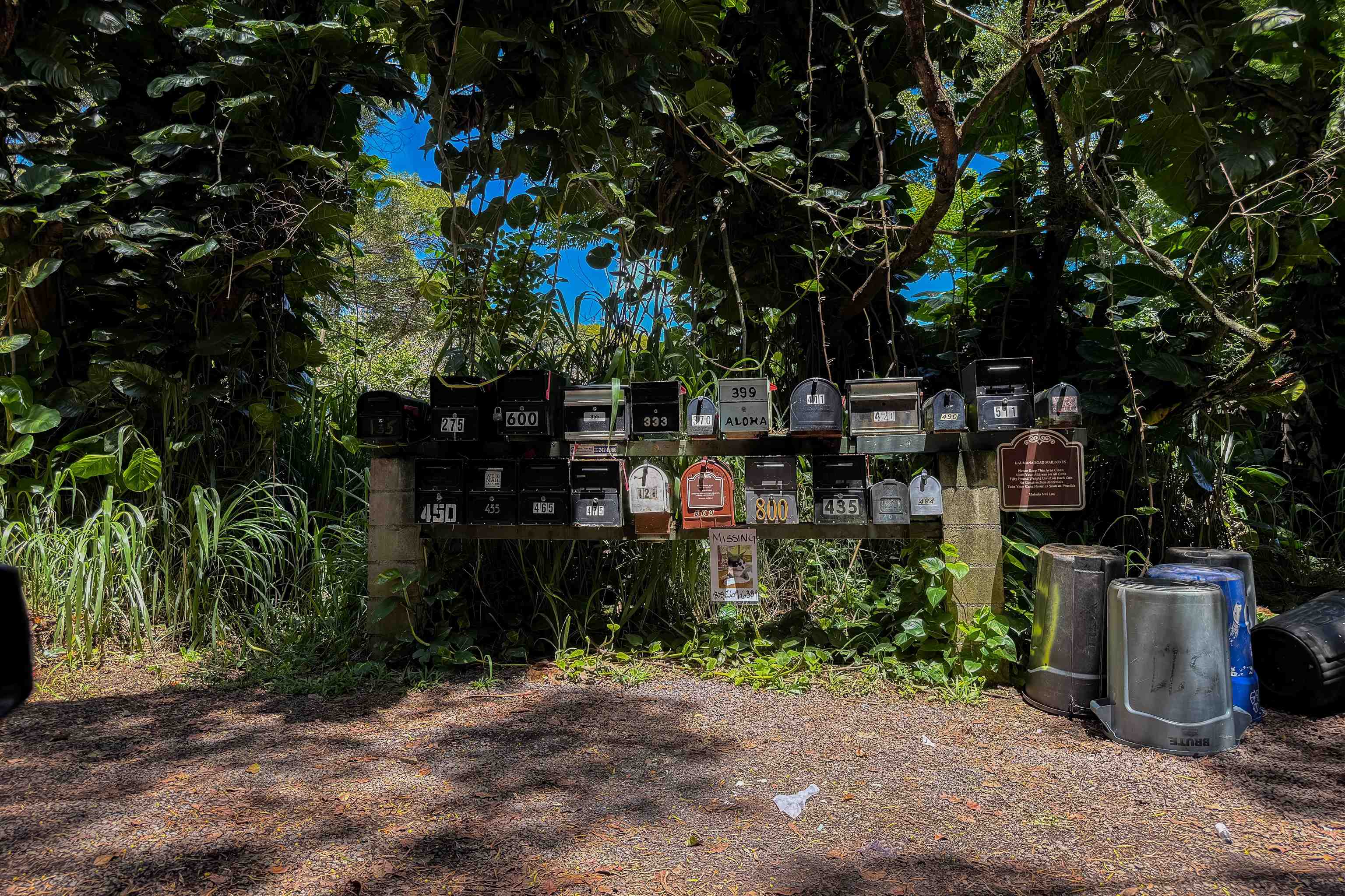 420 Haumana Rd Property Photo 49