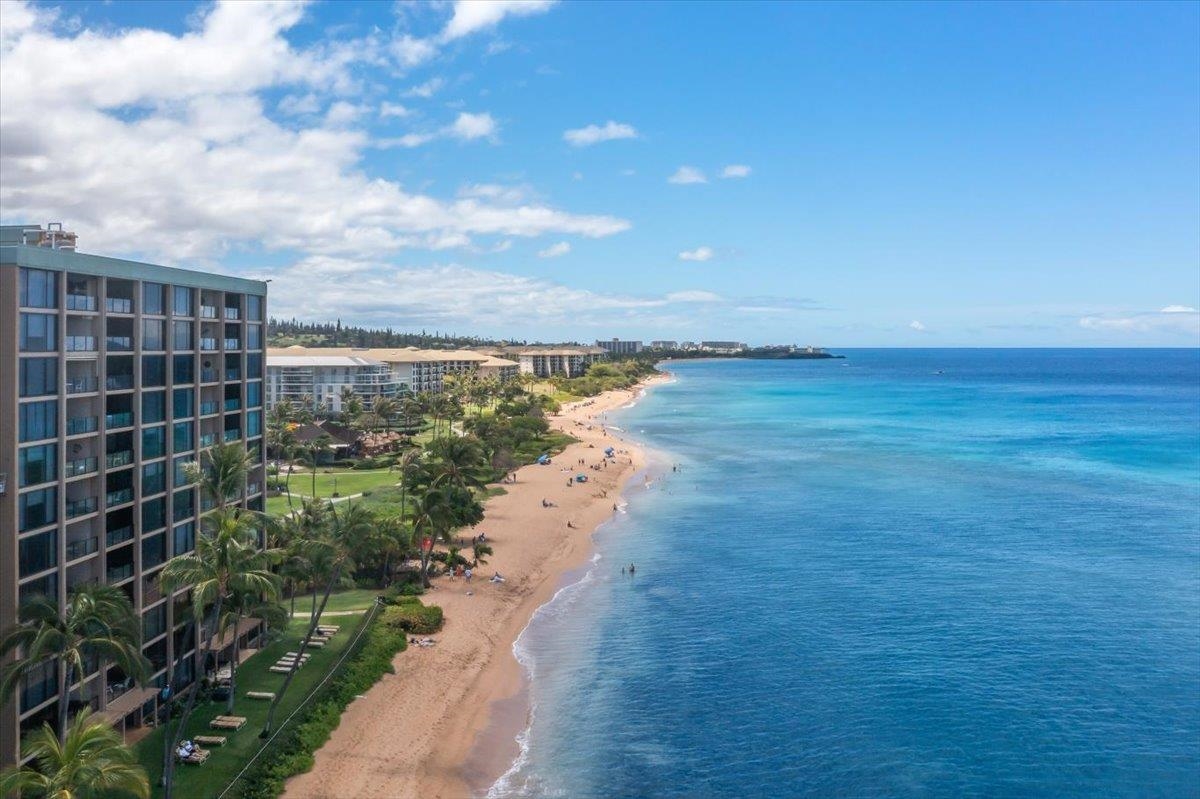 110 Kaanapali Shores Pl Property Photo 30