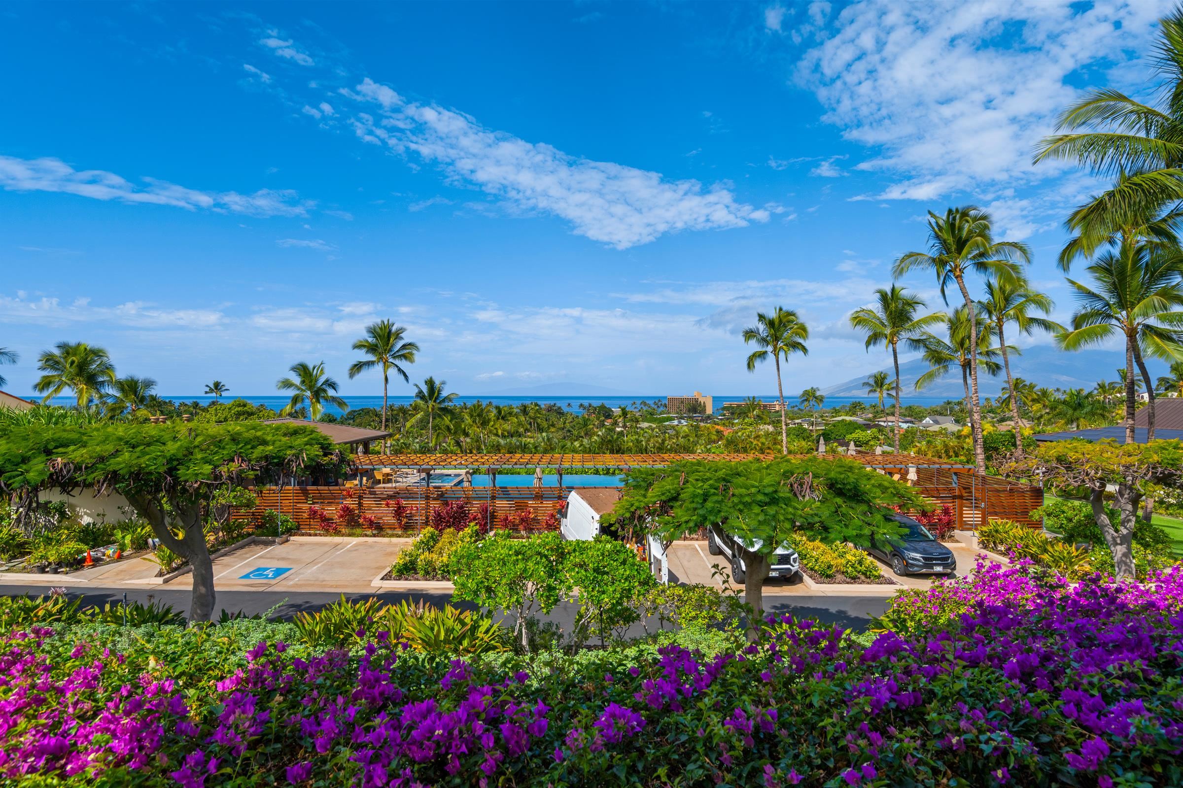 3100 Wailea Alanui Dr Property Photo 9