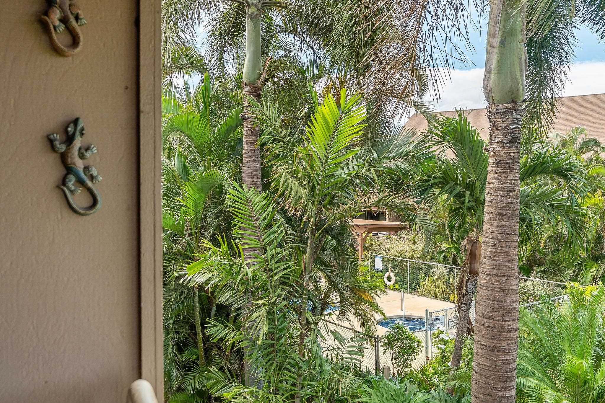 679 S Kihei Rd Property Photo 25