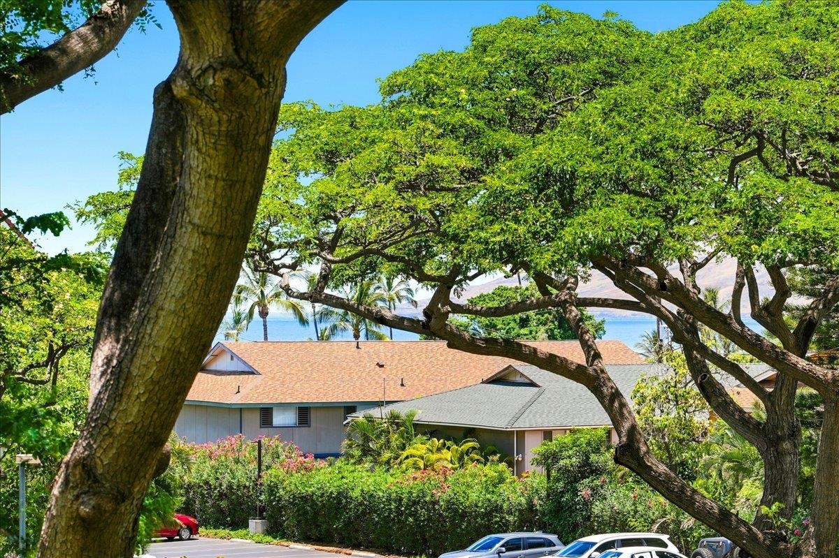2191 S Kihei Rd Property Photo 10