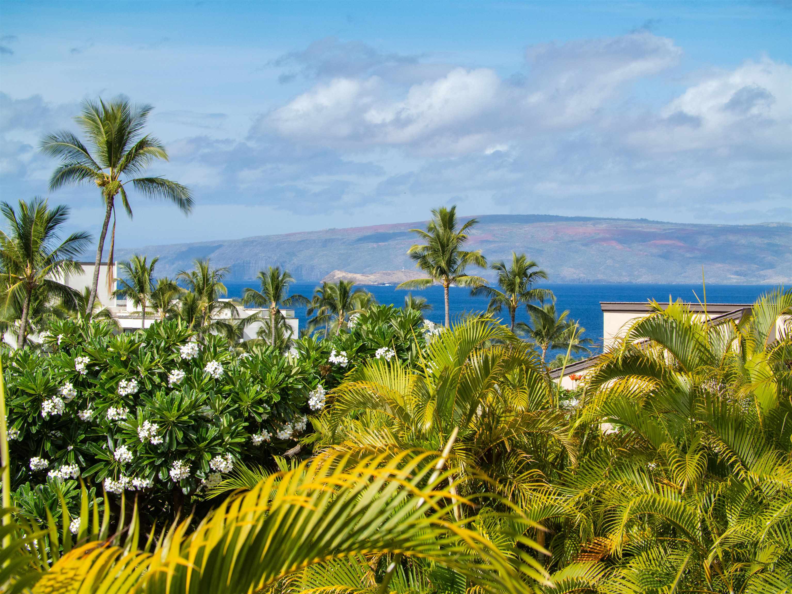 3300 Wailea Alanui Dr Property Photo 2