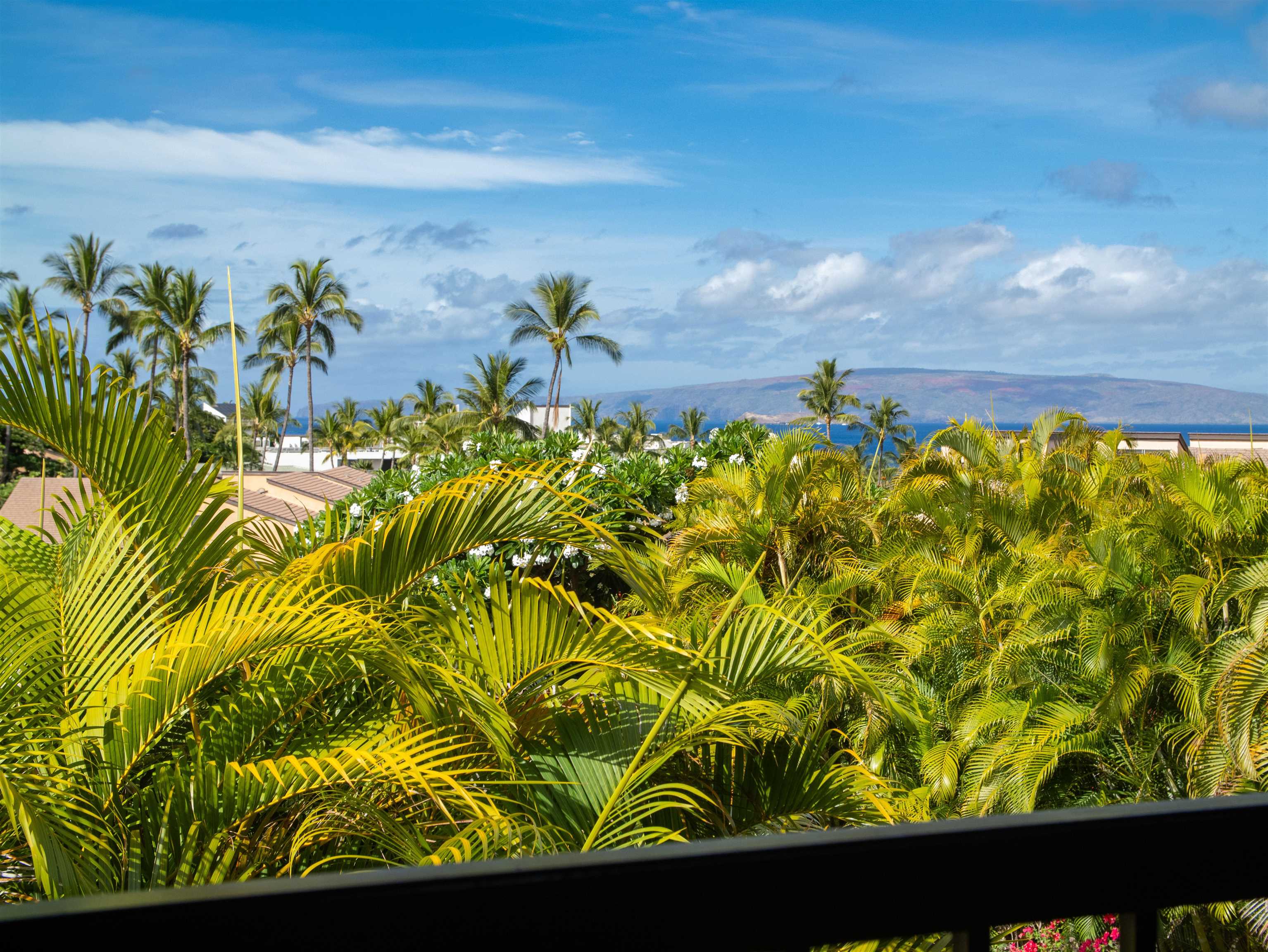 3300 Wailea Alanui Dr Property Photo 20