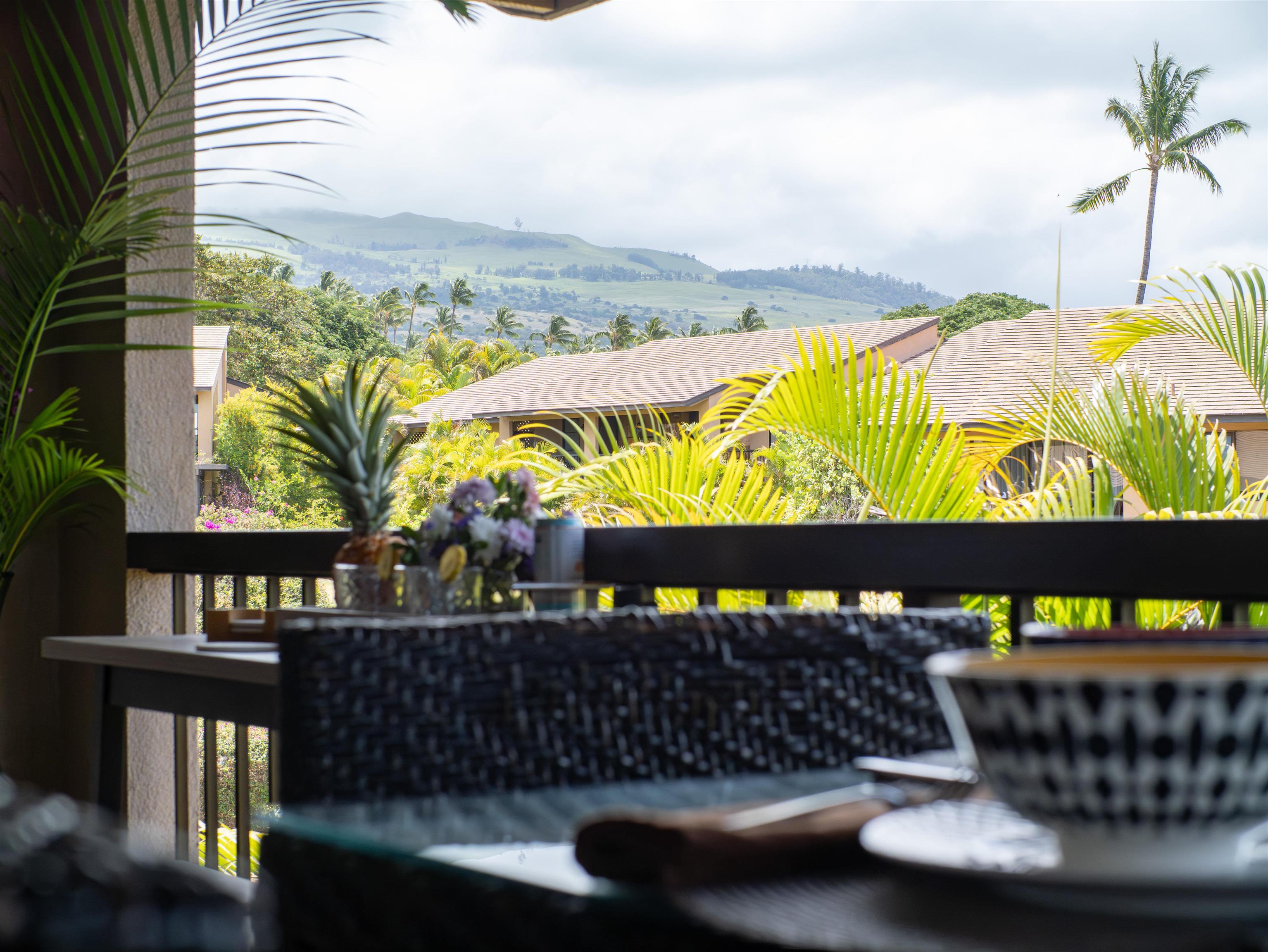 3300 Wailea Alanui Dr Property Photo 25