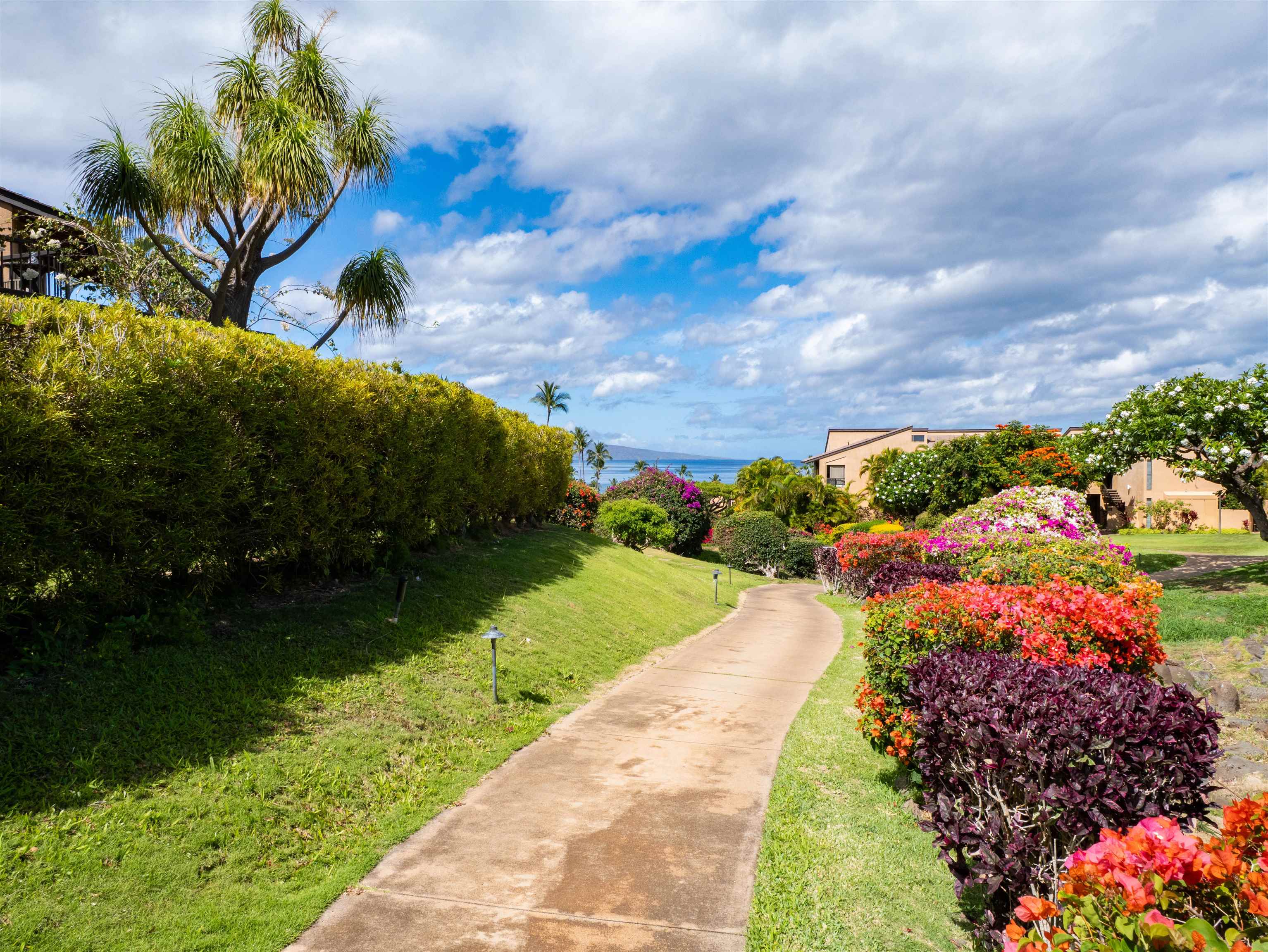 3300 Wailea Alanui Dr Property Photo 41