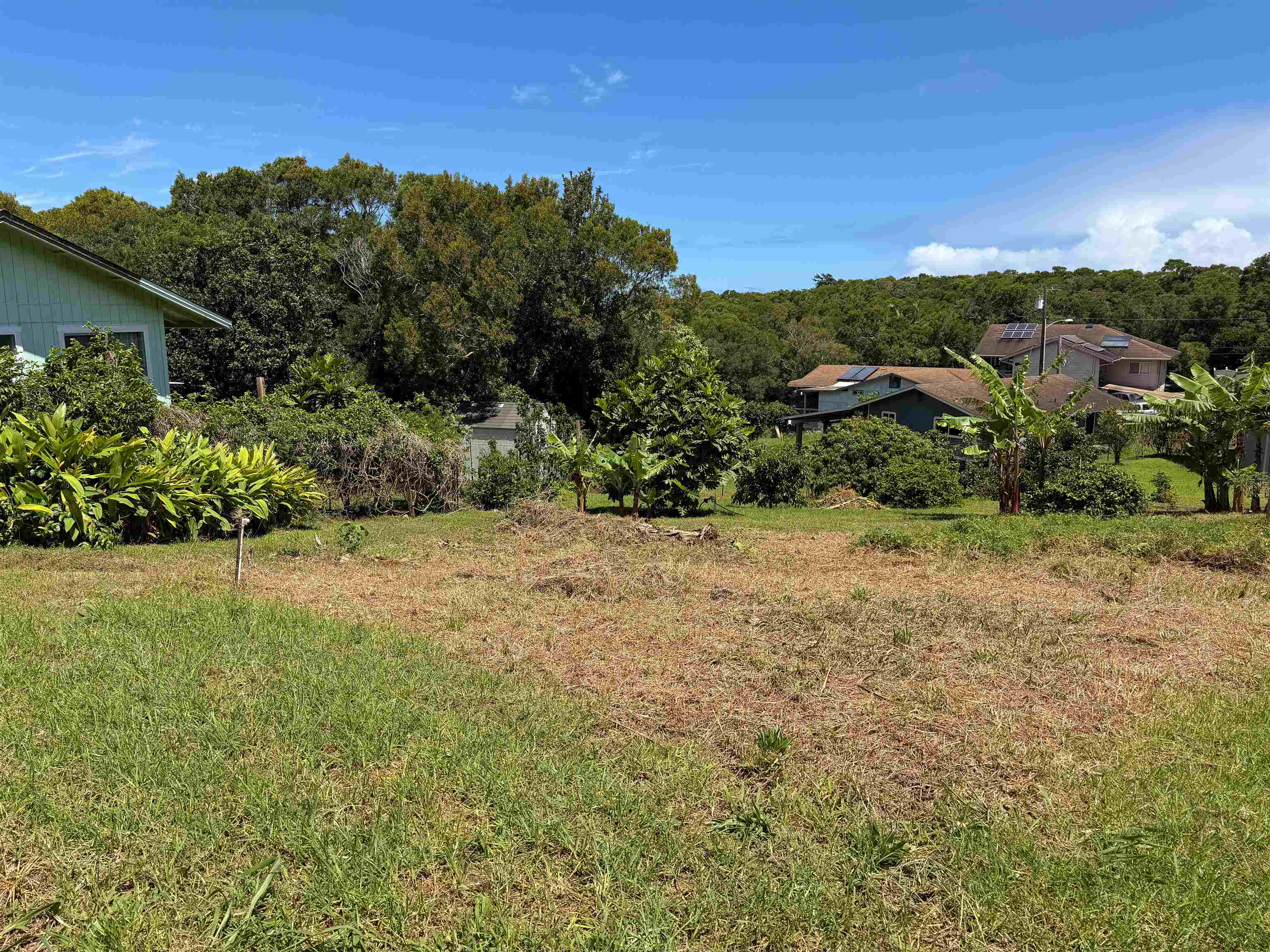 2129 Akeu Way Property Photo 2