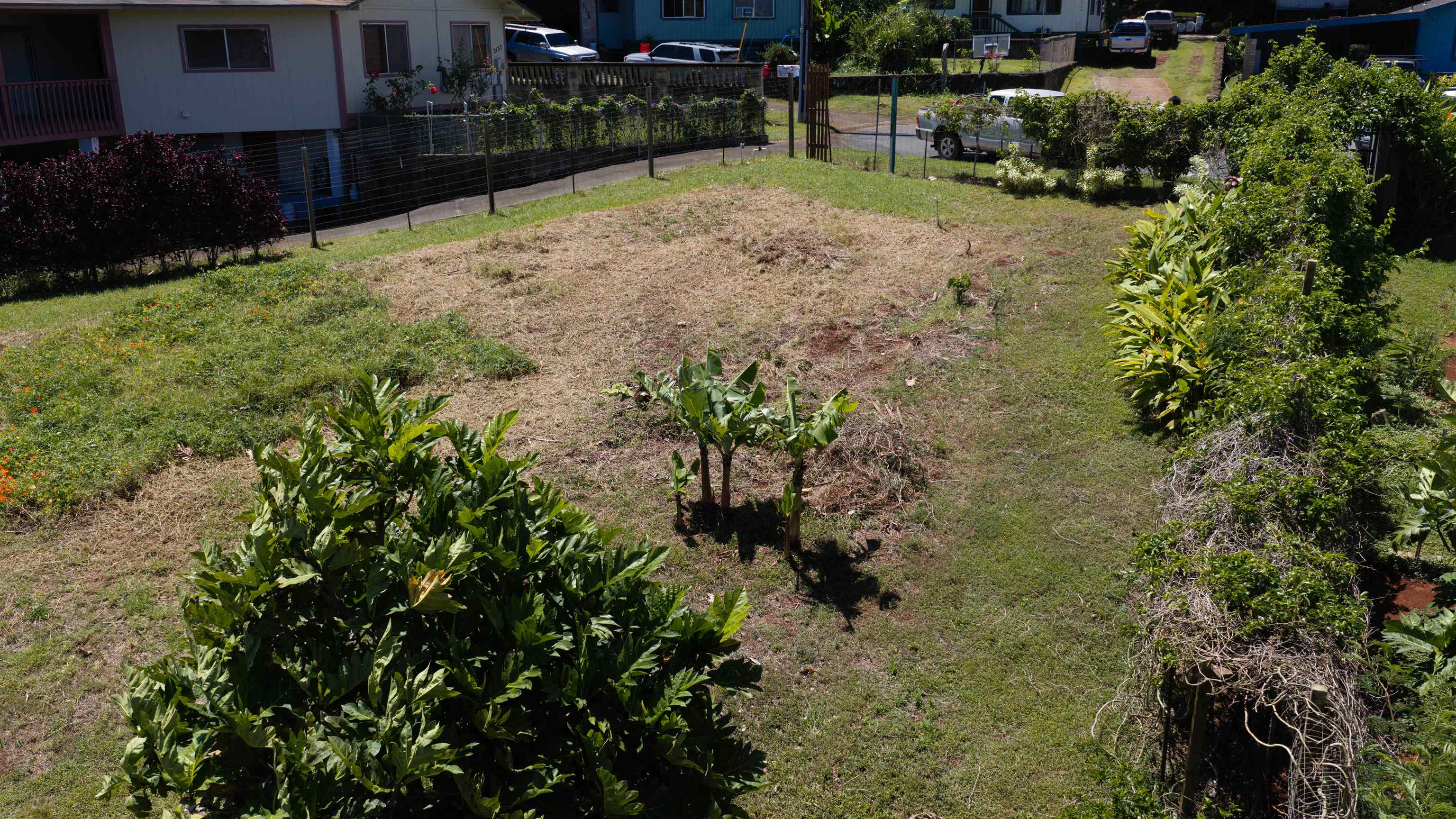 2129 Akeu Way Property Photo 3