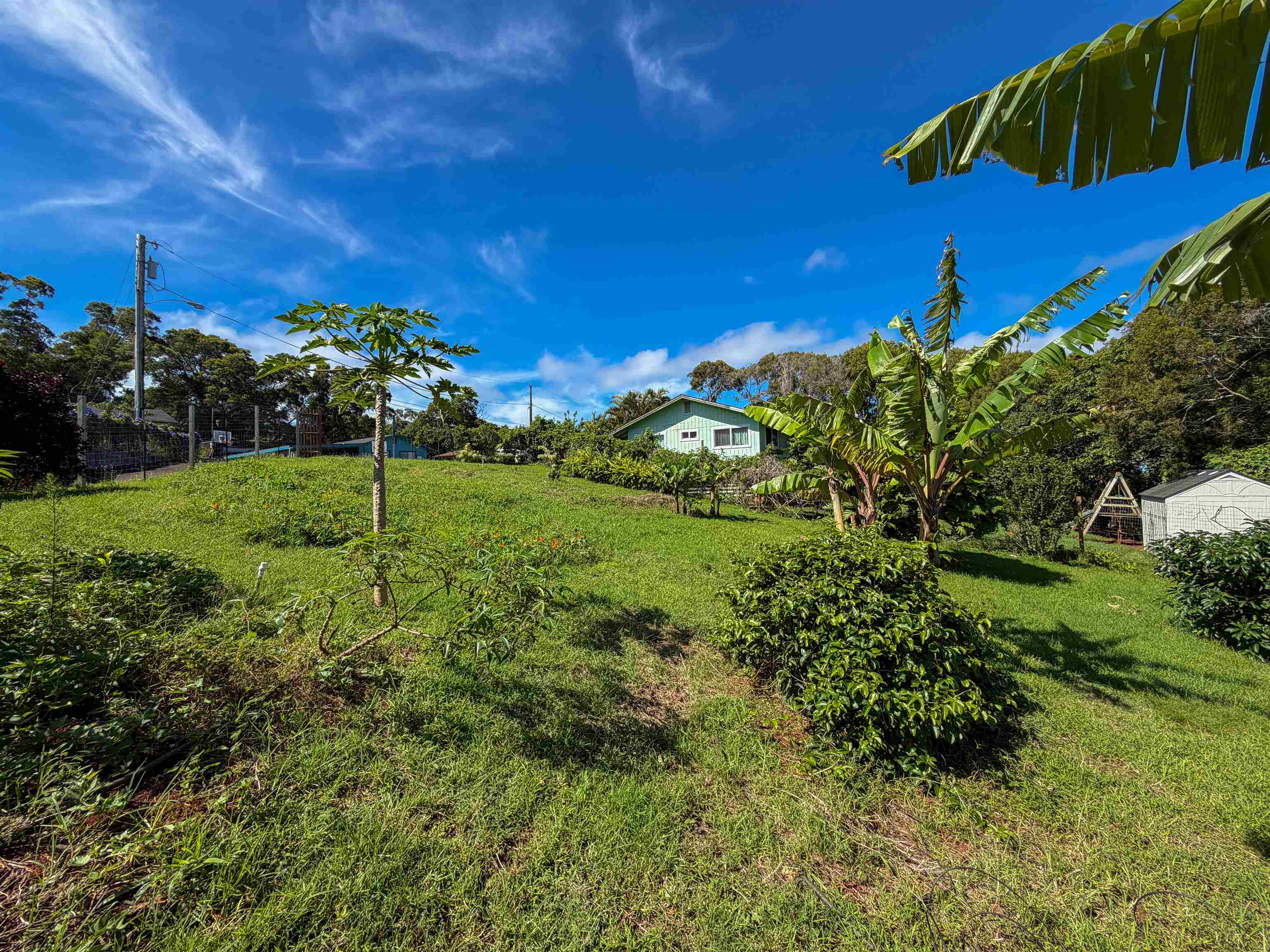 2129 Akeu Way Property Photo 4
