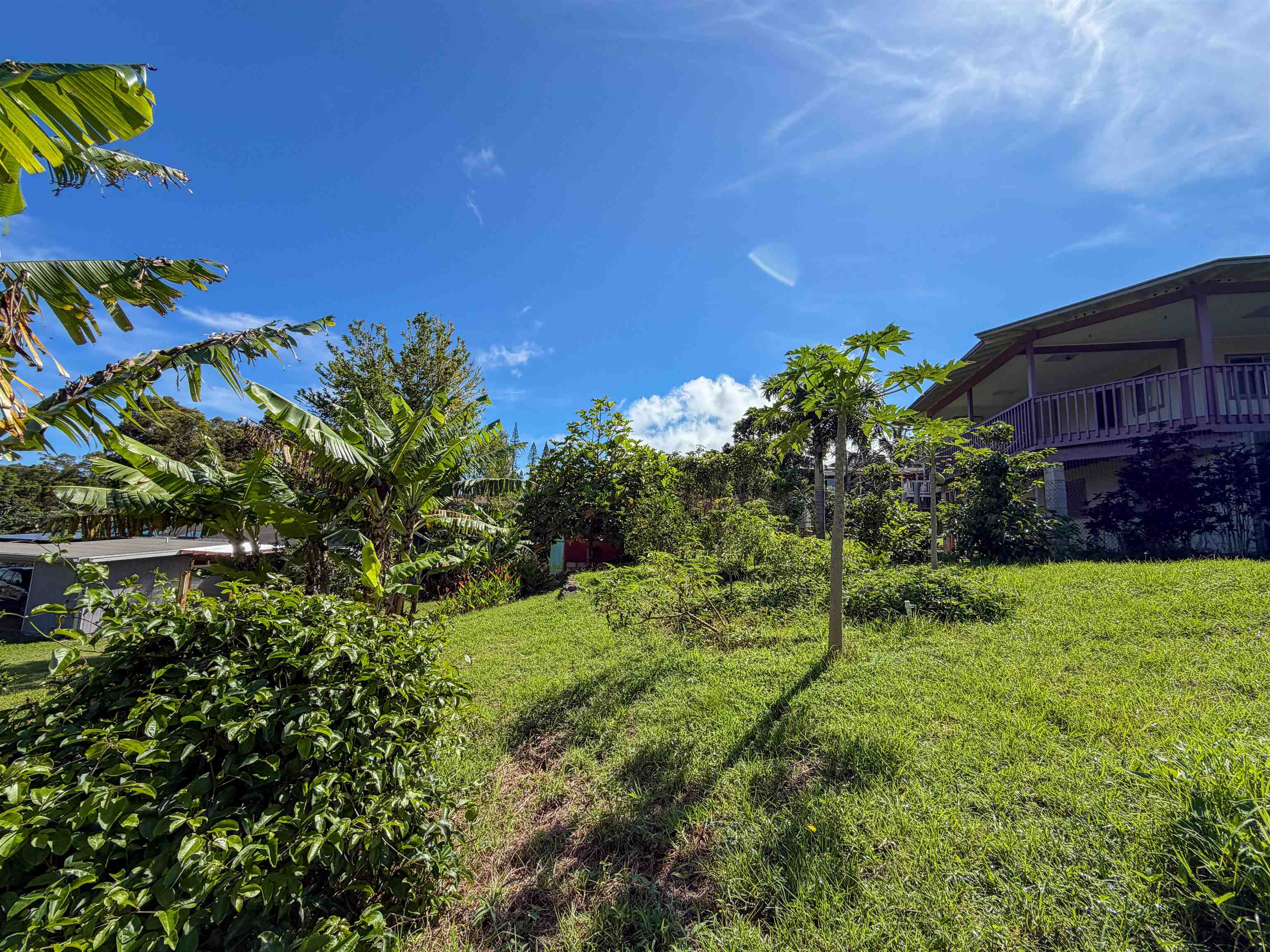 2129 Akeu Way Property Photo 6